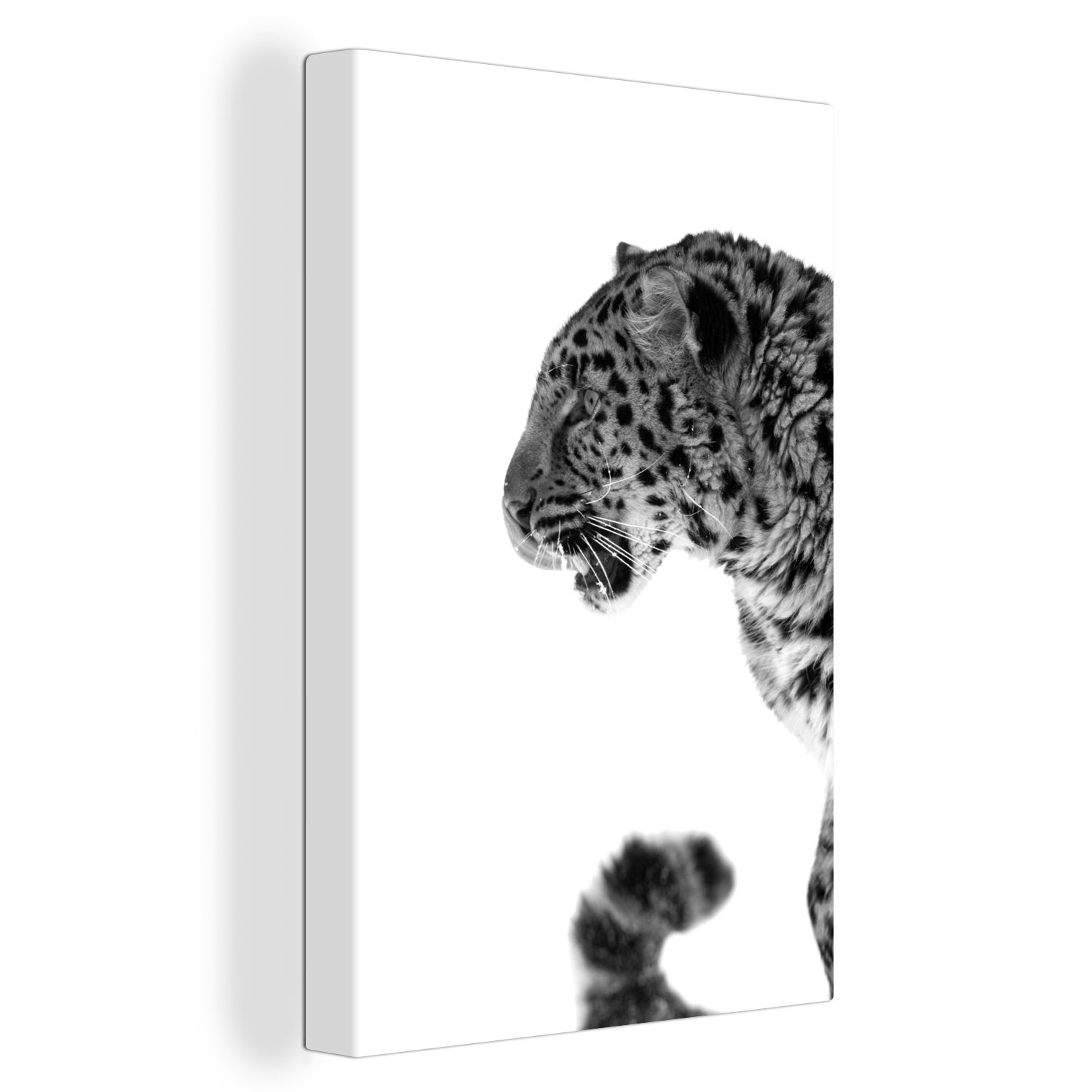 OneMillionCanvasses® Leinwandbild Leopard im Schnee - schwarz und weiß, (1 St), Leinwandbild fertig bespannt inkl. Zackenaufhänger, Gemälde, 20x30 cm bunt