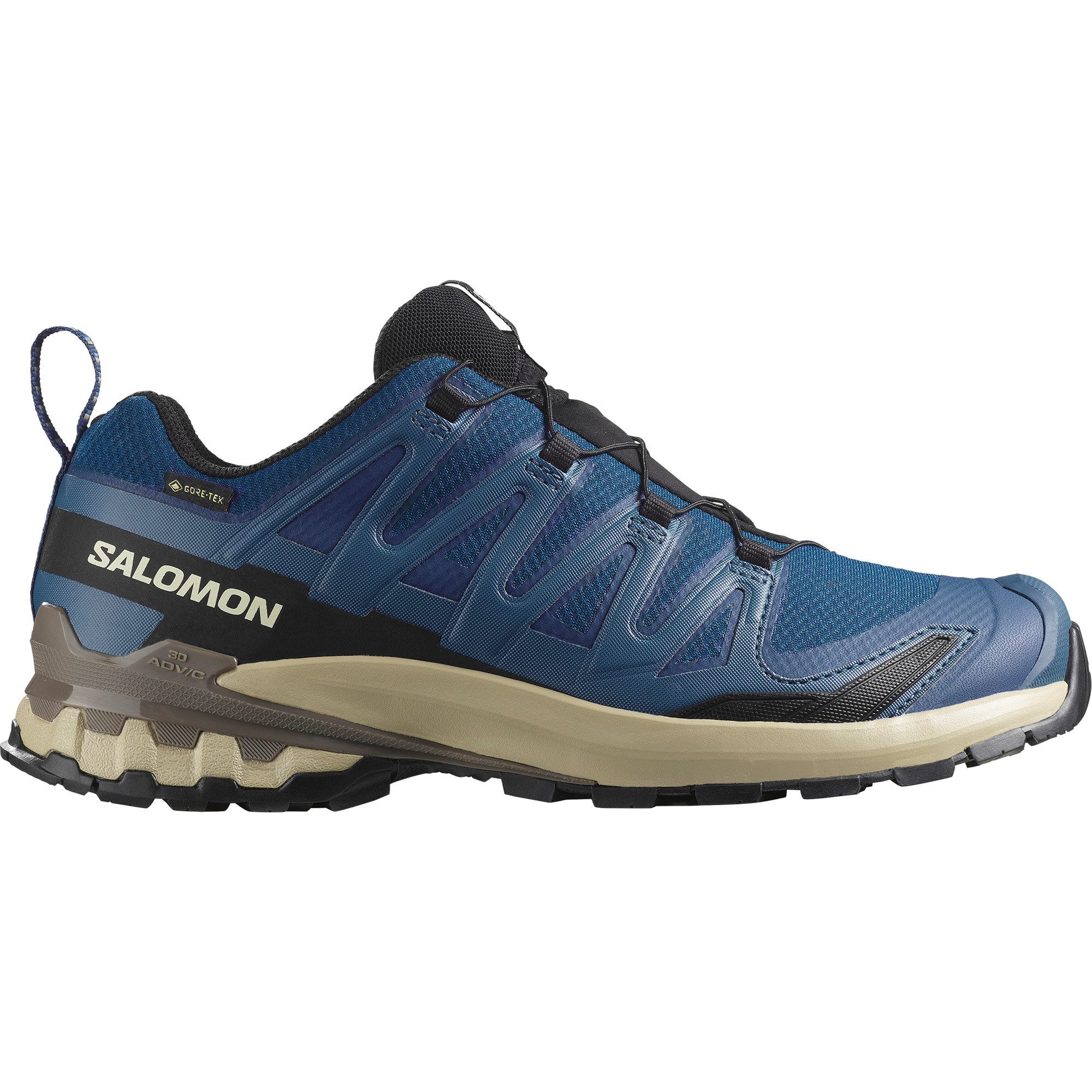 Salomon XA PRO 3D V9 GORE-TEX günstig online kaufen