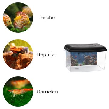 GarPet Aquarium Mini Aquarium Terrarium Zucht Becken Fisch Triops Garnelen Kunststoff