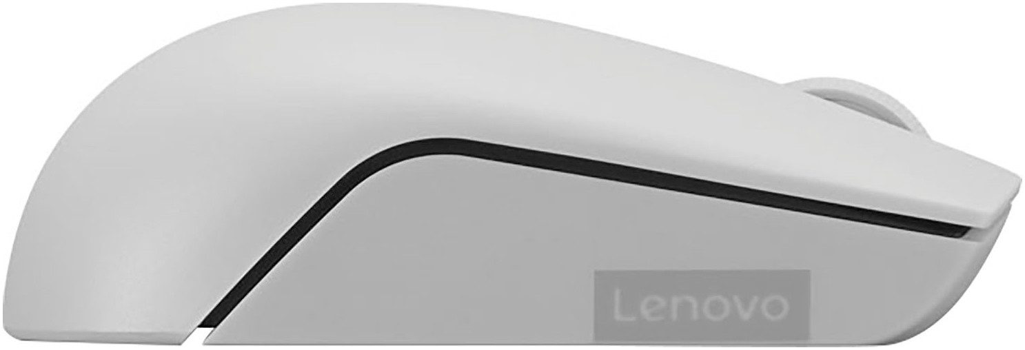 Lenovo 300 Wireless Maus (RF Wireless)