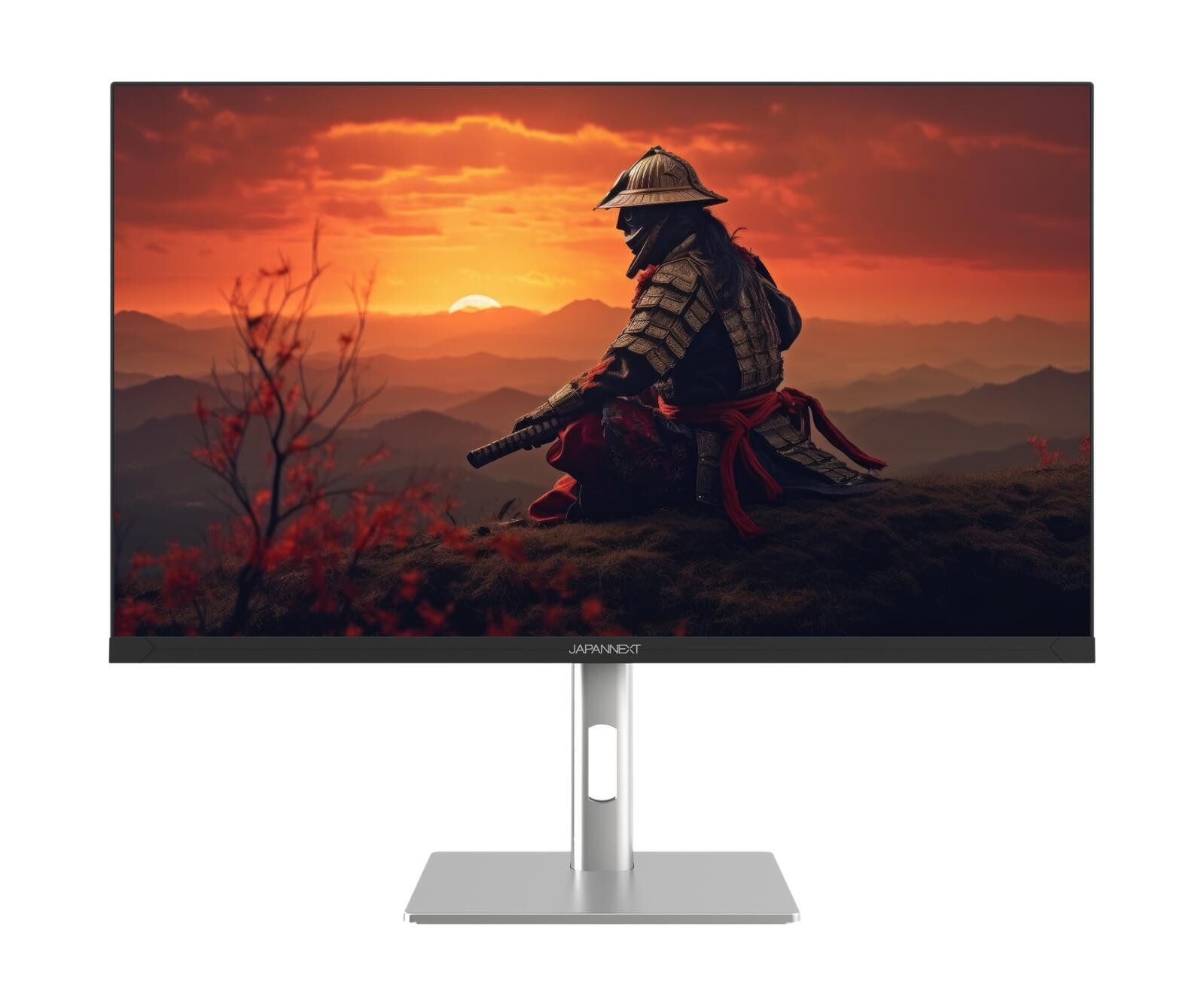 JAPANNEXT Gaming-LED-Monitor (1920 x 1080, 0,5 ms Reaktionszeit, 200 Hz, ELED)