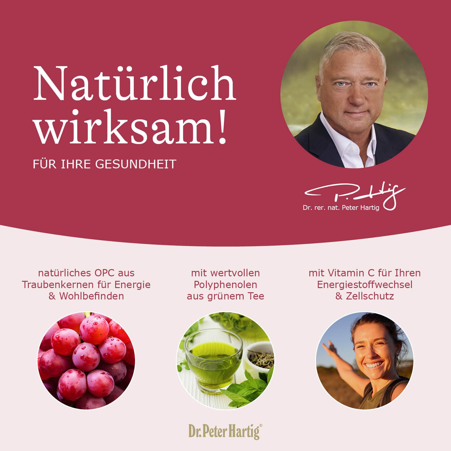 Dr. Peter Hartig OPC Trauben Power, unterstützt Energiestoffwechsel, Vitamin C, vegan Kapseln, 120 Kapseln, 4-Monats-Vorrat, à 58 g