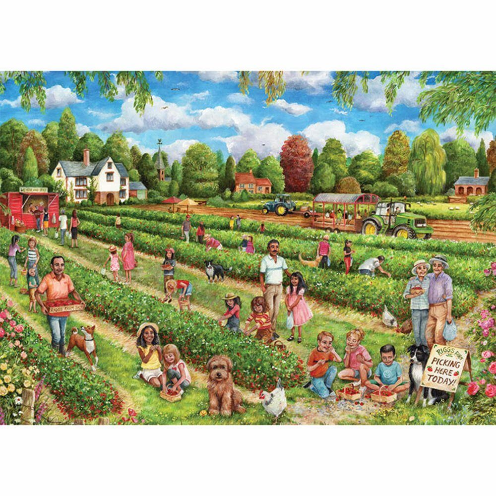 1000 Puzzleteile Jumbo Spiele Puzzle Picking Strawberry Falcon Teile, 1000