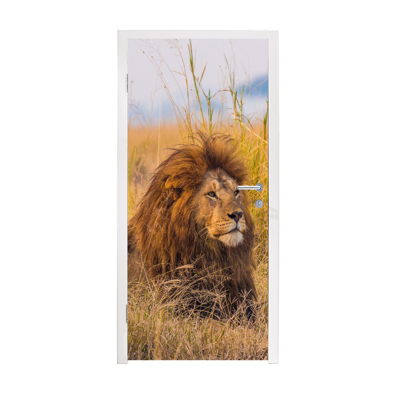 MuchoWow Türtapete Männlicher Löwe im hohen Gras im Serengeti-Nationalpark, Matt, bedruckt, (1 St), Fototapete für Tür, Türaufkleber, 75x205 cm