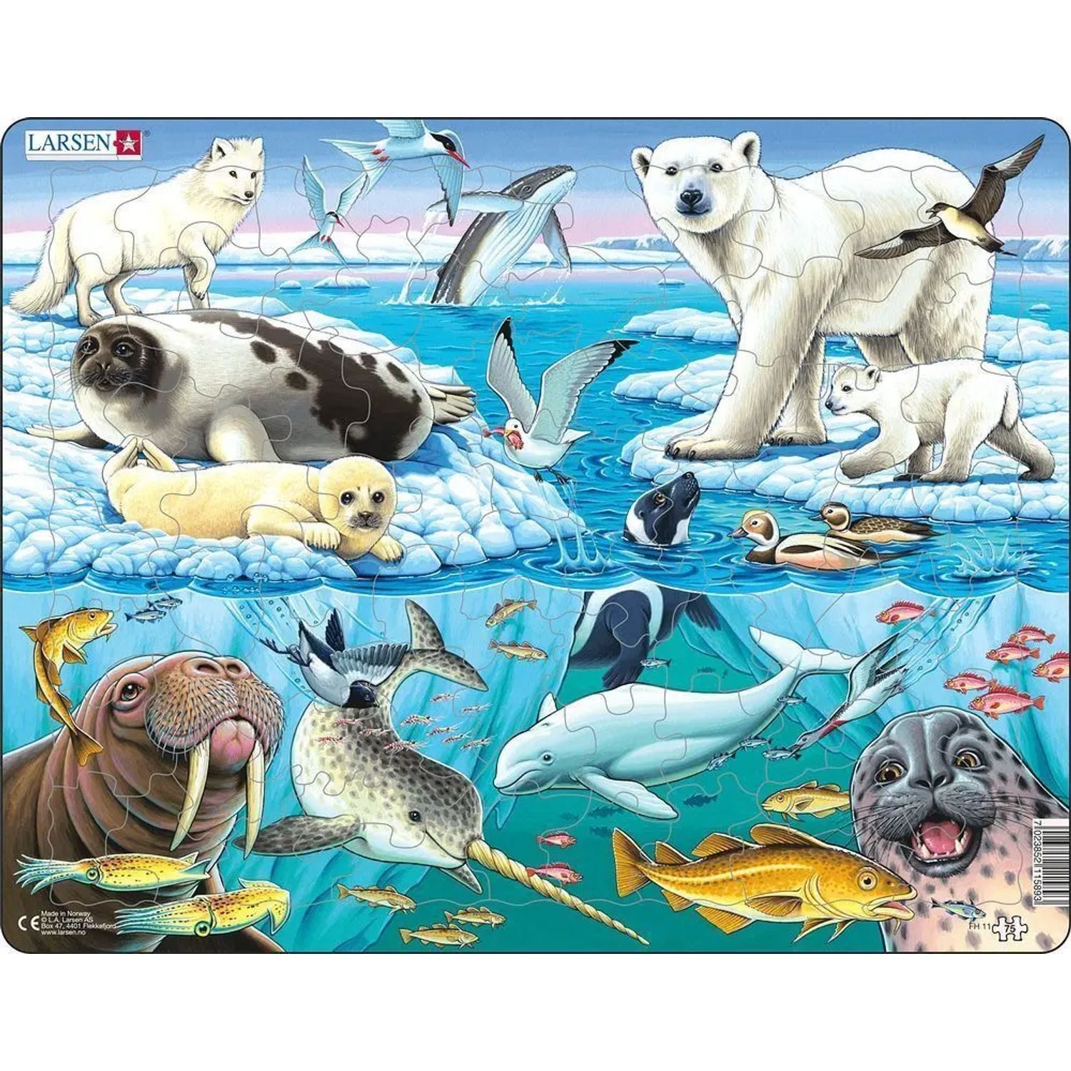 Media Verlag Puzzle Puzzle - Tiere der Arktis, 99 Puzzleteile