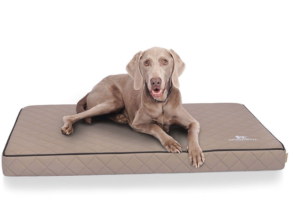 Knuffelwuff Hundematte Juna, Orthopädisch günstig online kaufen