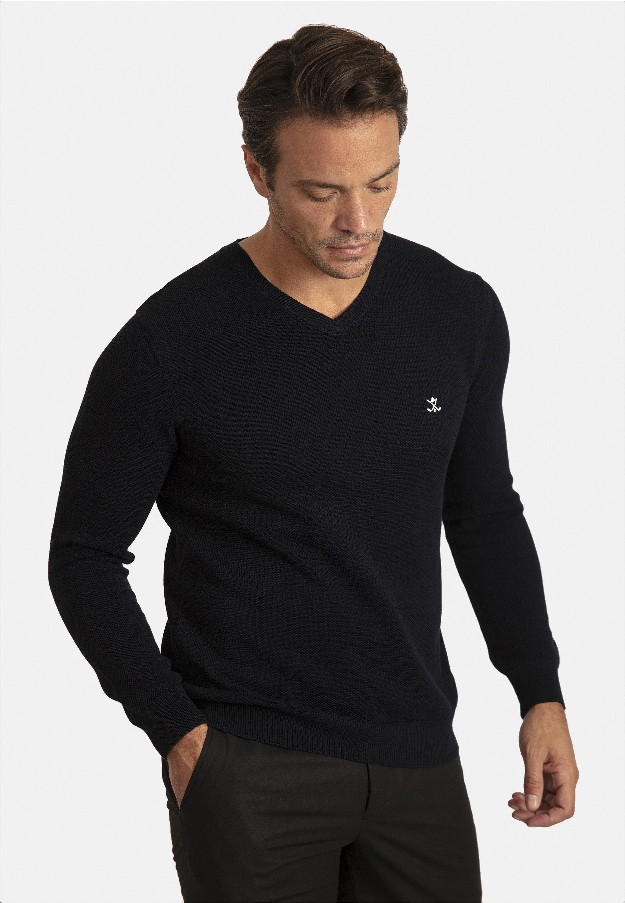 SIR RAYMOND TAILOR V-Ausschnitt-Pullover Liva mit elegantem V-Ausschnitt