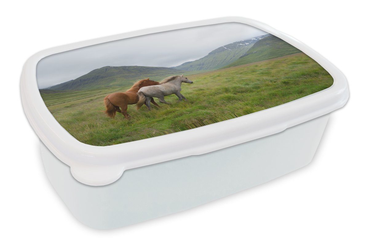 MuchoWow Lunchbox Pferde - Gras - Berge, Kunststoff, (2-tlg), Brotbox für Kinder und Erwachsene, Brotdose, für Jungs und Mädchen weiß