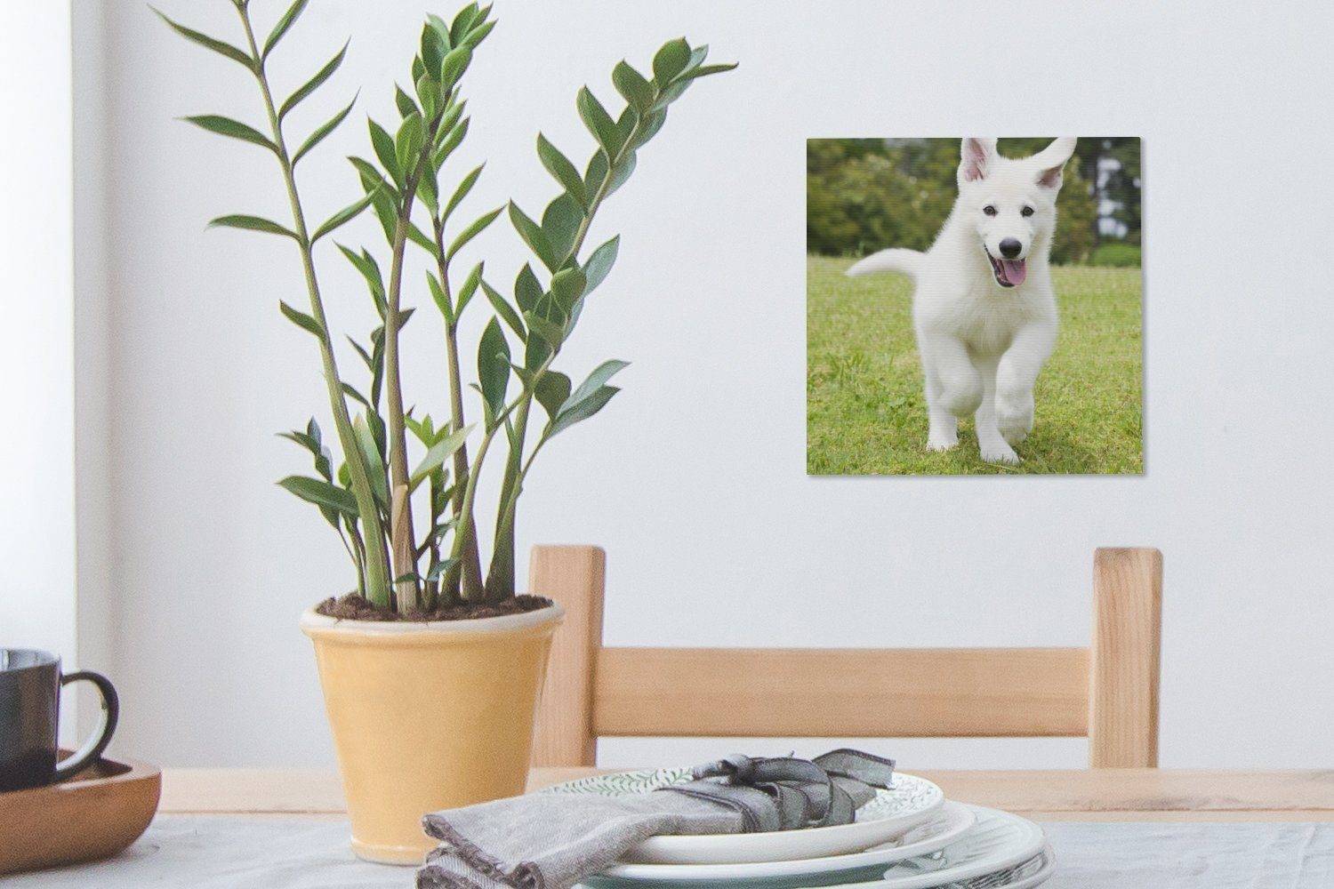 OneMillionCanvasses® Leinwandbild Ein weißer Bilder Schlafzimmer St), (1 Leinwand für Wohnzimmer Schäferhund Deutscher Welpe