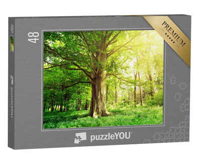 puzzleYOU Puzzle Buchenwald mit einem alten Baum im Sonnenlicht, 48 Puzzleteile, puzzleYOU-Kollektionen Bäume, Pflanzen, Wald & Bäume
