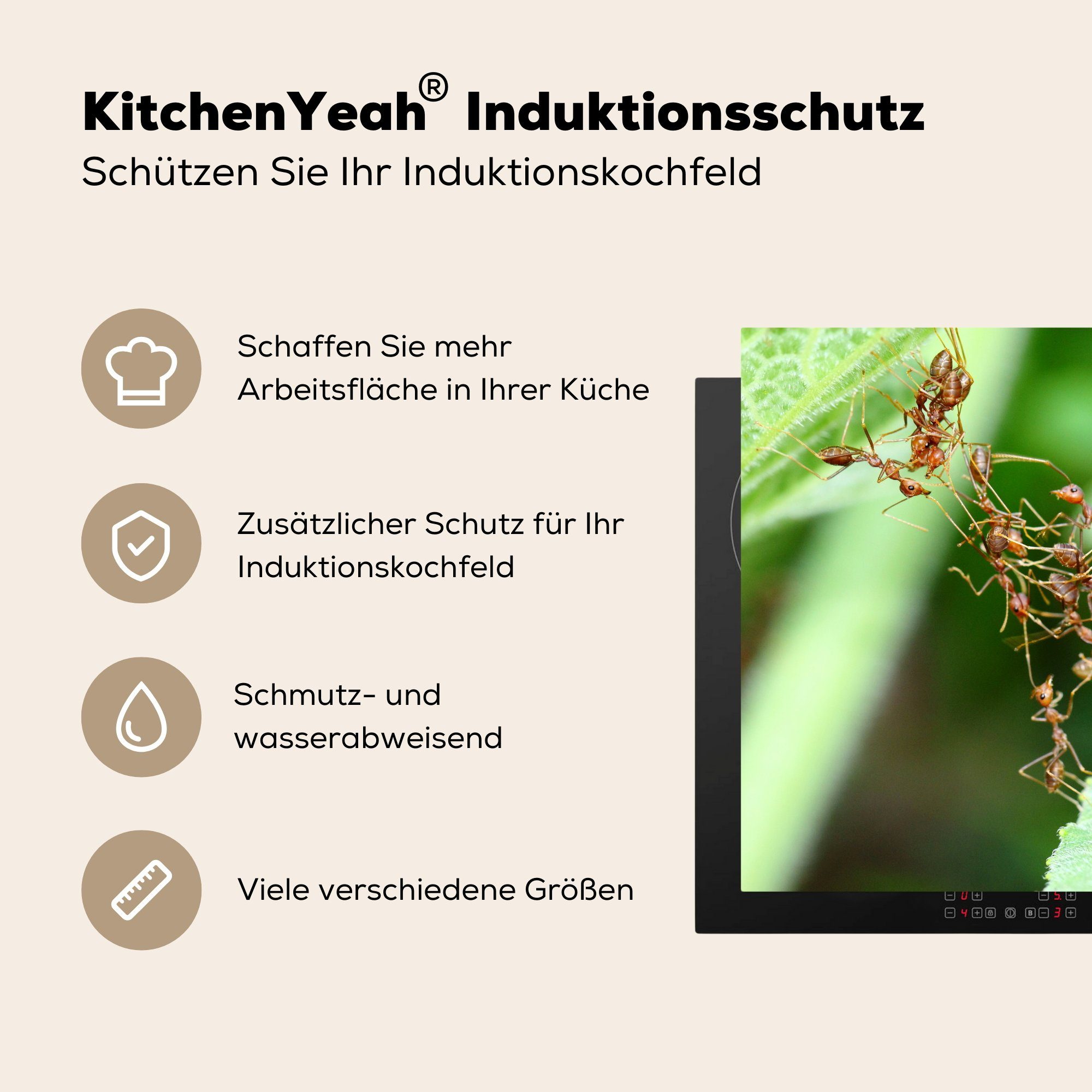 78x78 cm, Ceranfeldabdeckung, Gruppe für Ameisen, einer Nahaufnahme von MuchoWow Herdblende-/Abdeckplatte Vinyl, tlg), küche (1 Arbeitsplatte
