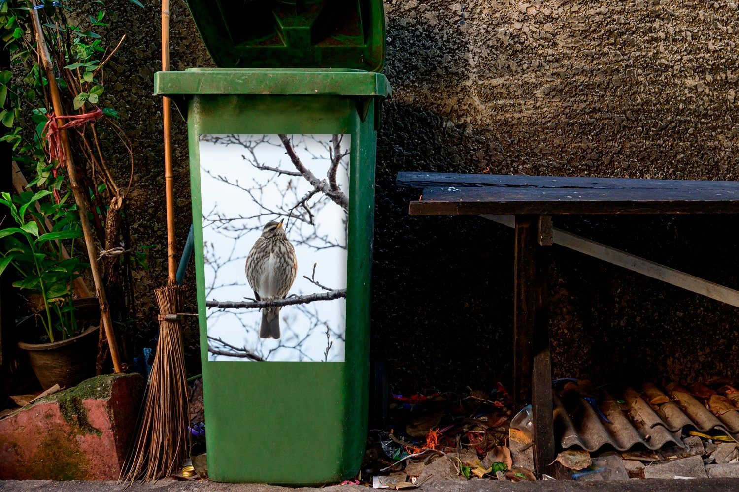 einem Ein Sticker, großer Wandsticker Mülltonne, sitzt in (1 Ast Island Abfalbehälter MuchoWow auf Mülleimer-aufkleber, Container, Moorzeisig St),