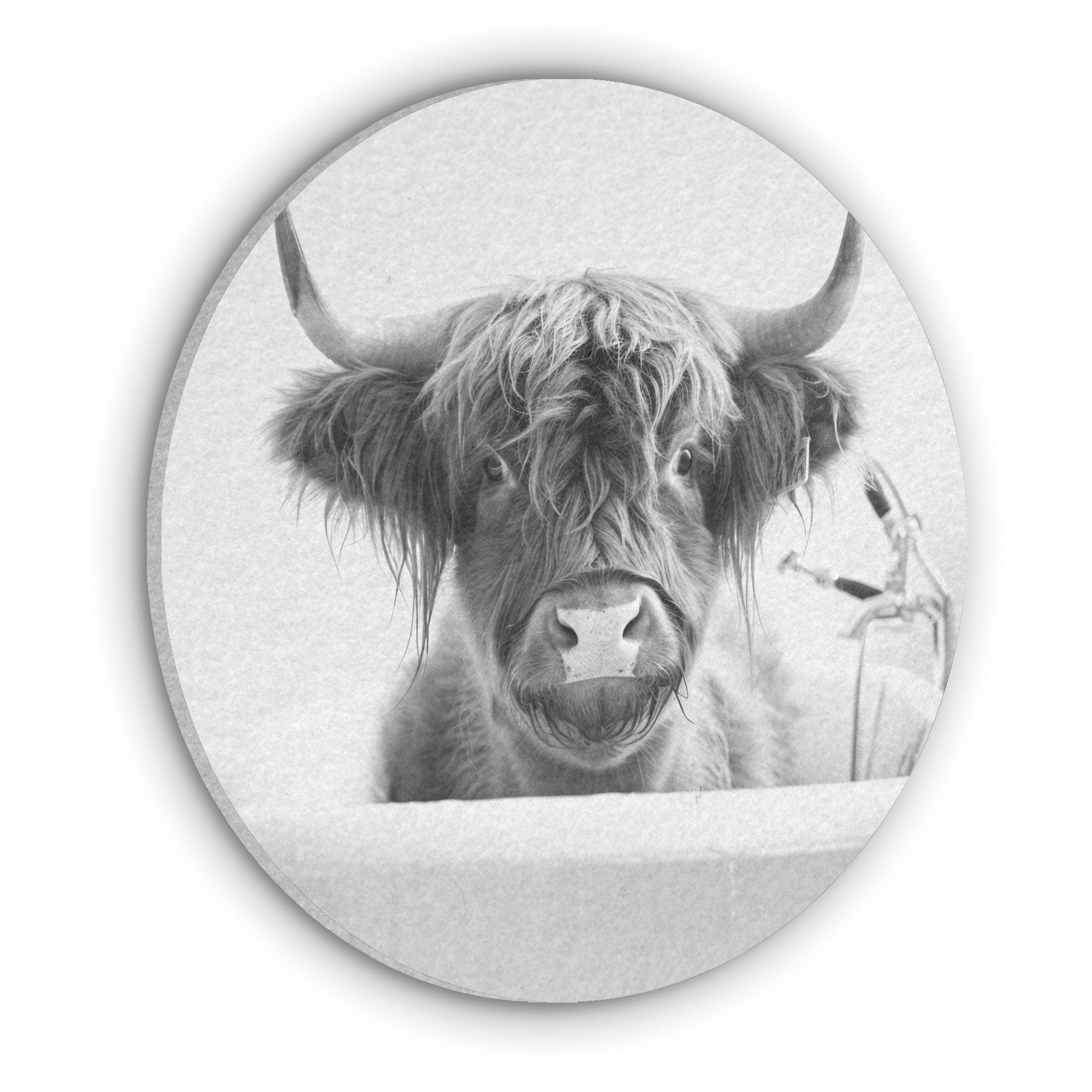MuchoWow Gemälde Highlander - Kuh - Badewanne - Schwarz und weiß, Fotodruck (1 St), Wandkreis, Wandpaneele, Schalldämmung, Akustikbilder 50x50 cm