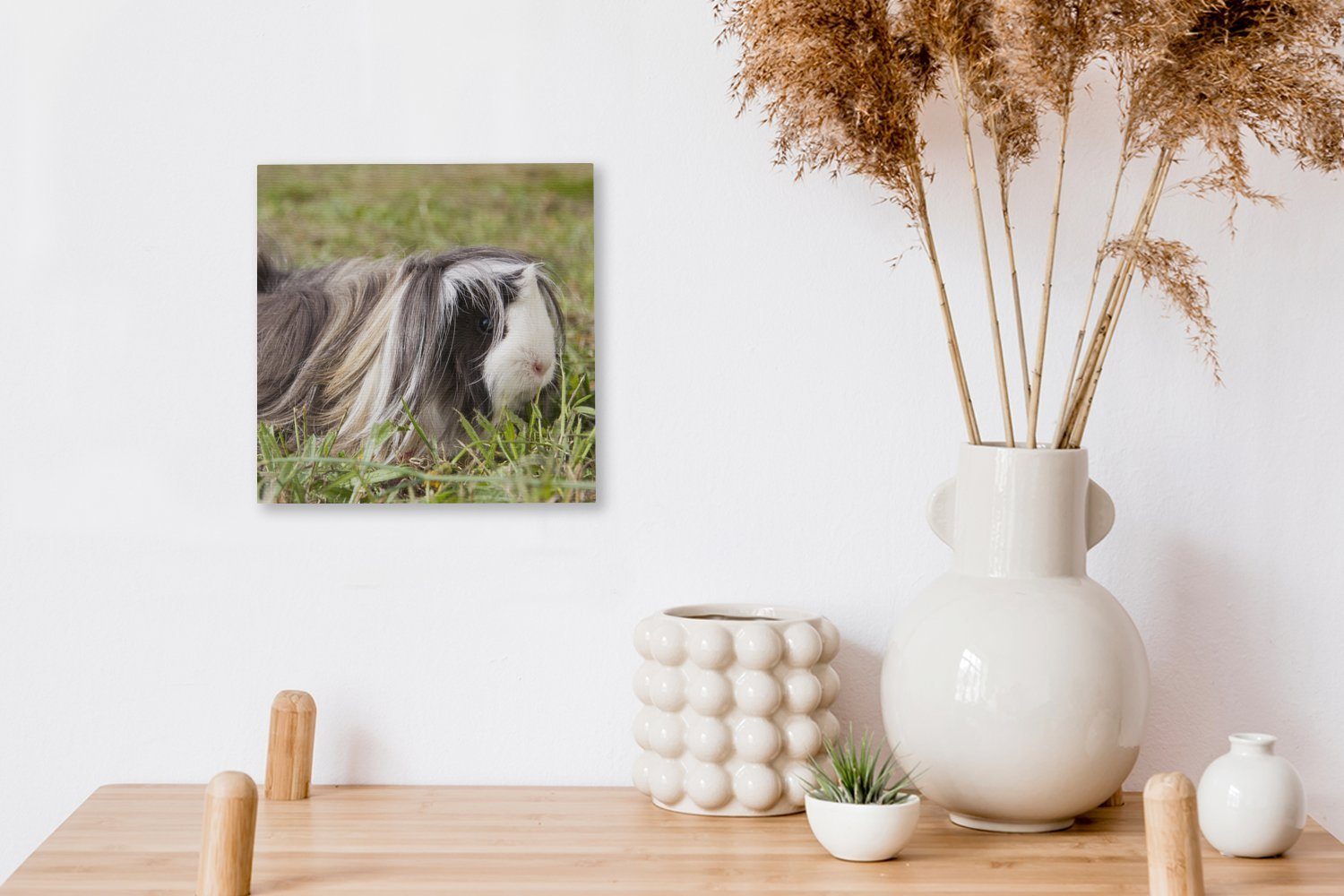 Leinwandbild OneMillionCanvasses® Bilder für (1 Schlafzimmer St), Langhaar-Meerschweinchen, Wohnzimmer Leinwand