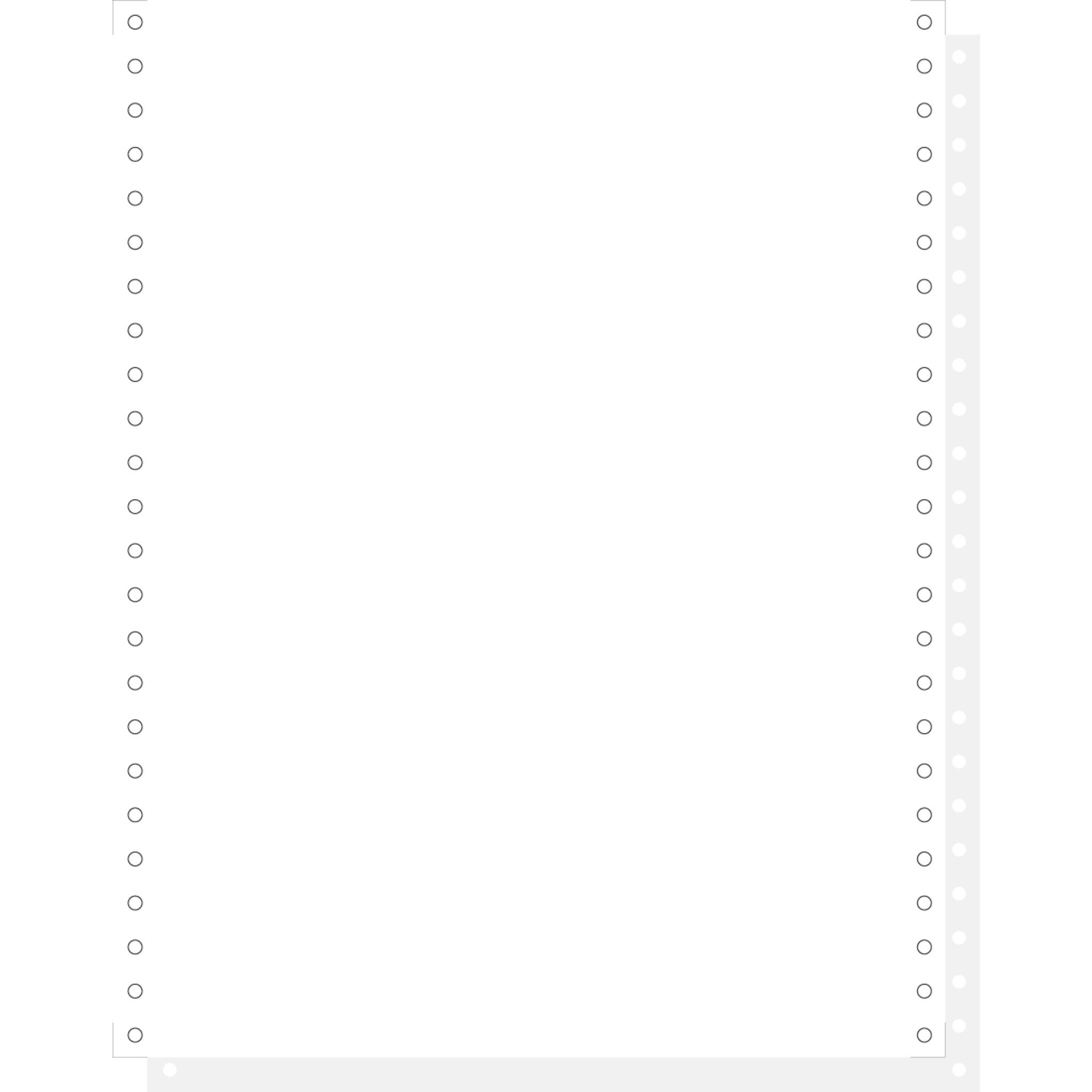 EXACOMPTA Druckerpapier LIST.240X12 2 PLIS BCD MP4C A. C.1000 62432E, Tabellierpapier