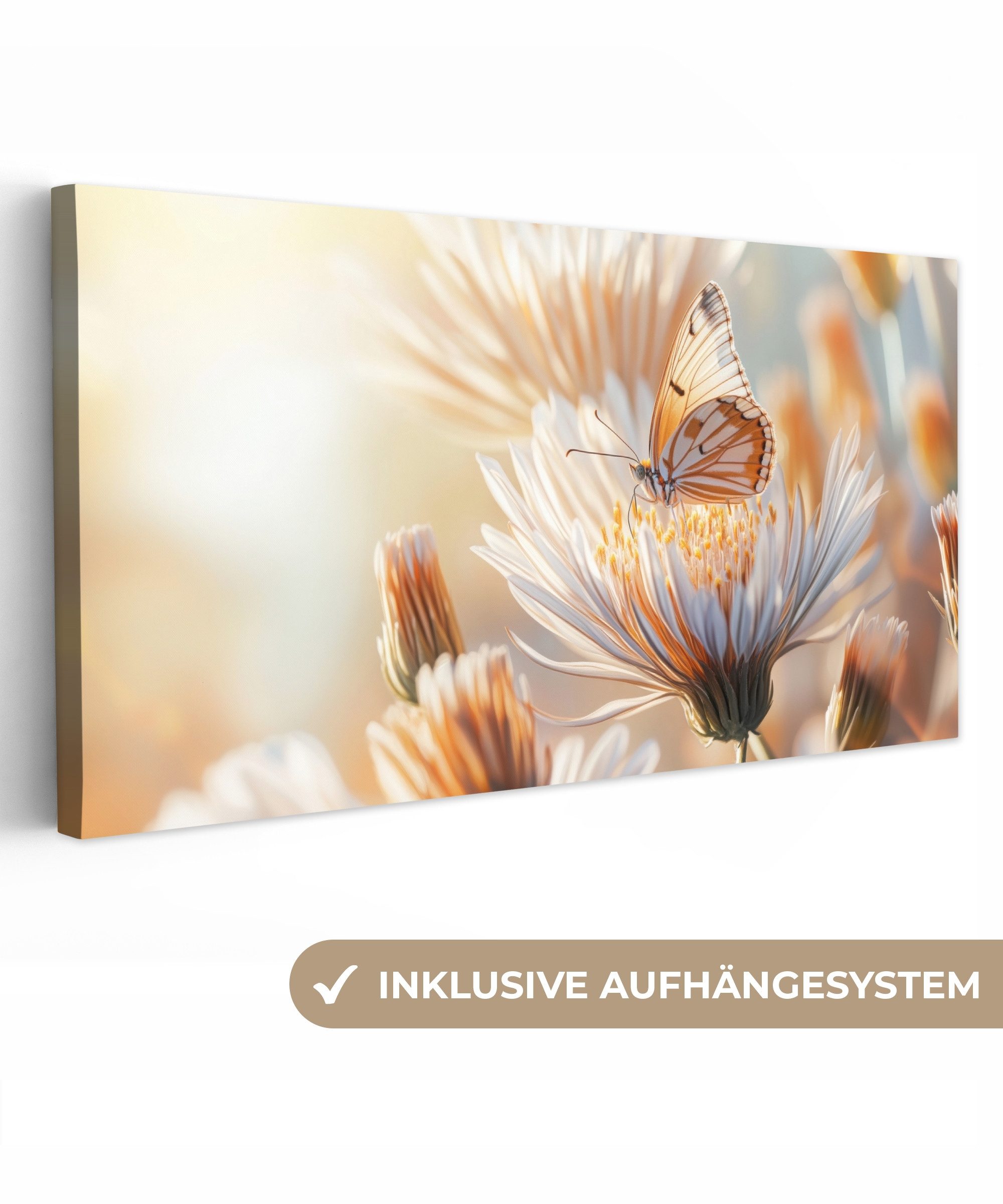 OneMillionCanvasses® Leinwandbild Panorama Schmetterling - Blume günstig online kaufen