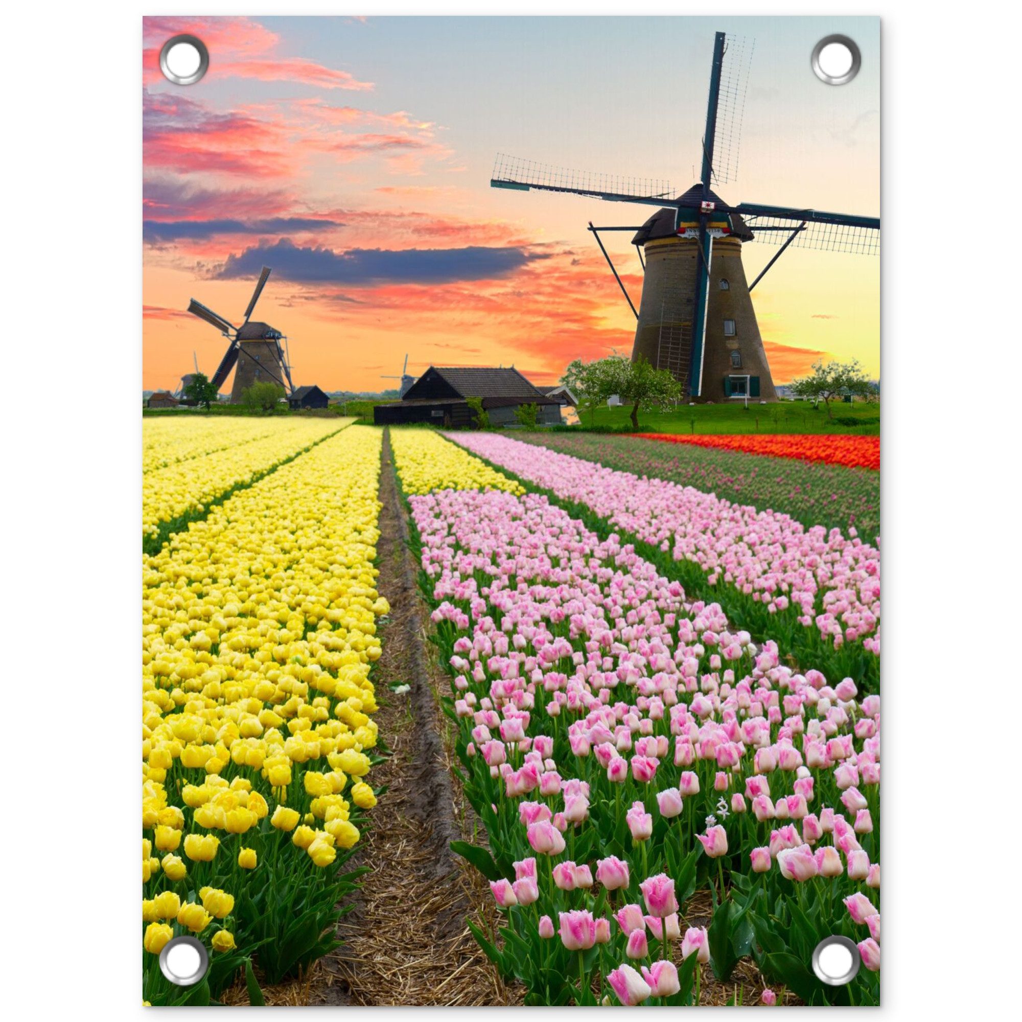 OnlyWow Poster für Garten Windmühle - Tulpen - Blumen - Niederlande, Gartenposter, Outdoor Bilder, Gartendeko für draußen, 30x40 cm
