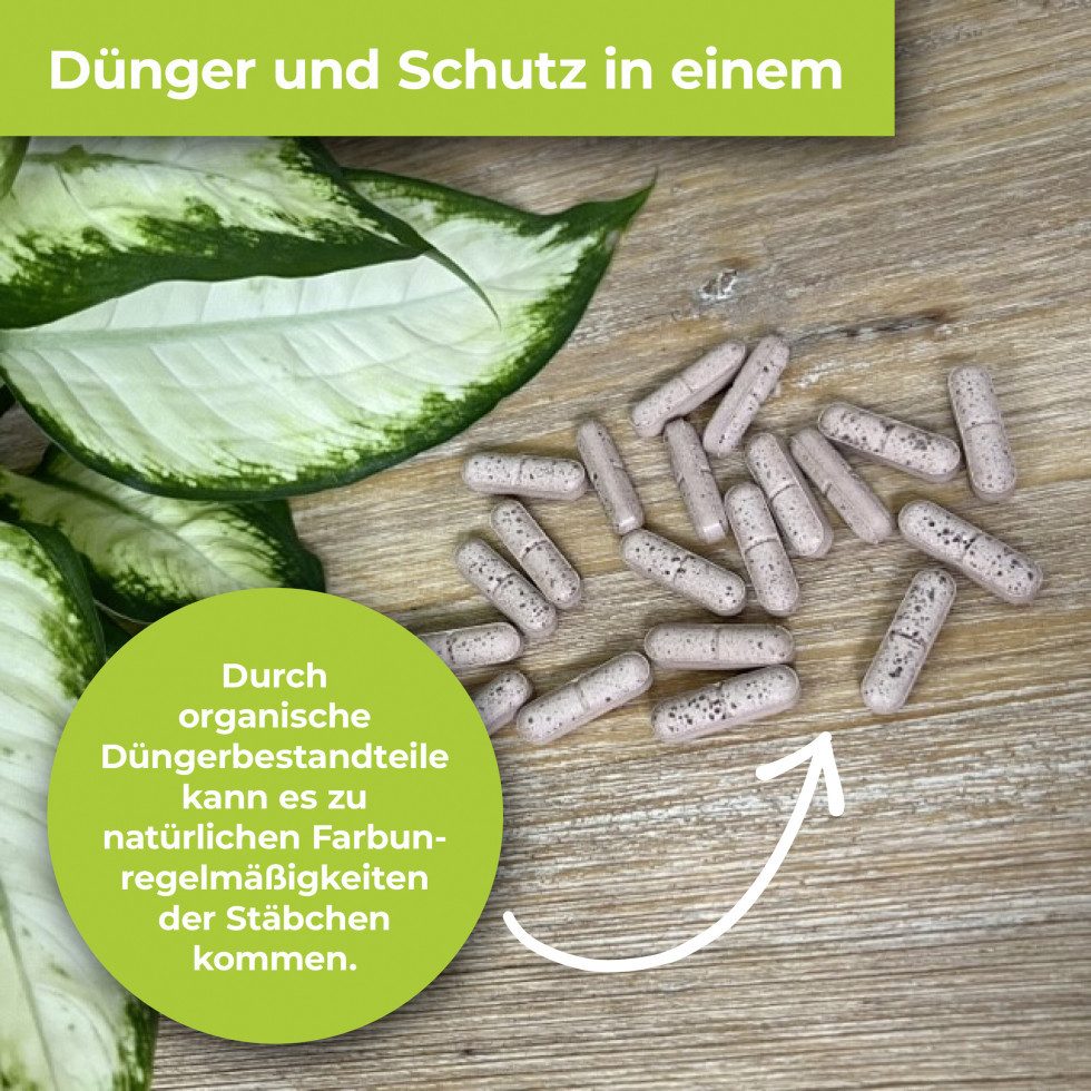 PROTECT Blumendünger Protect Garden Lizetan Plus Combistäbchen 20 Stück – Bild 4 von 5