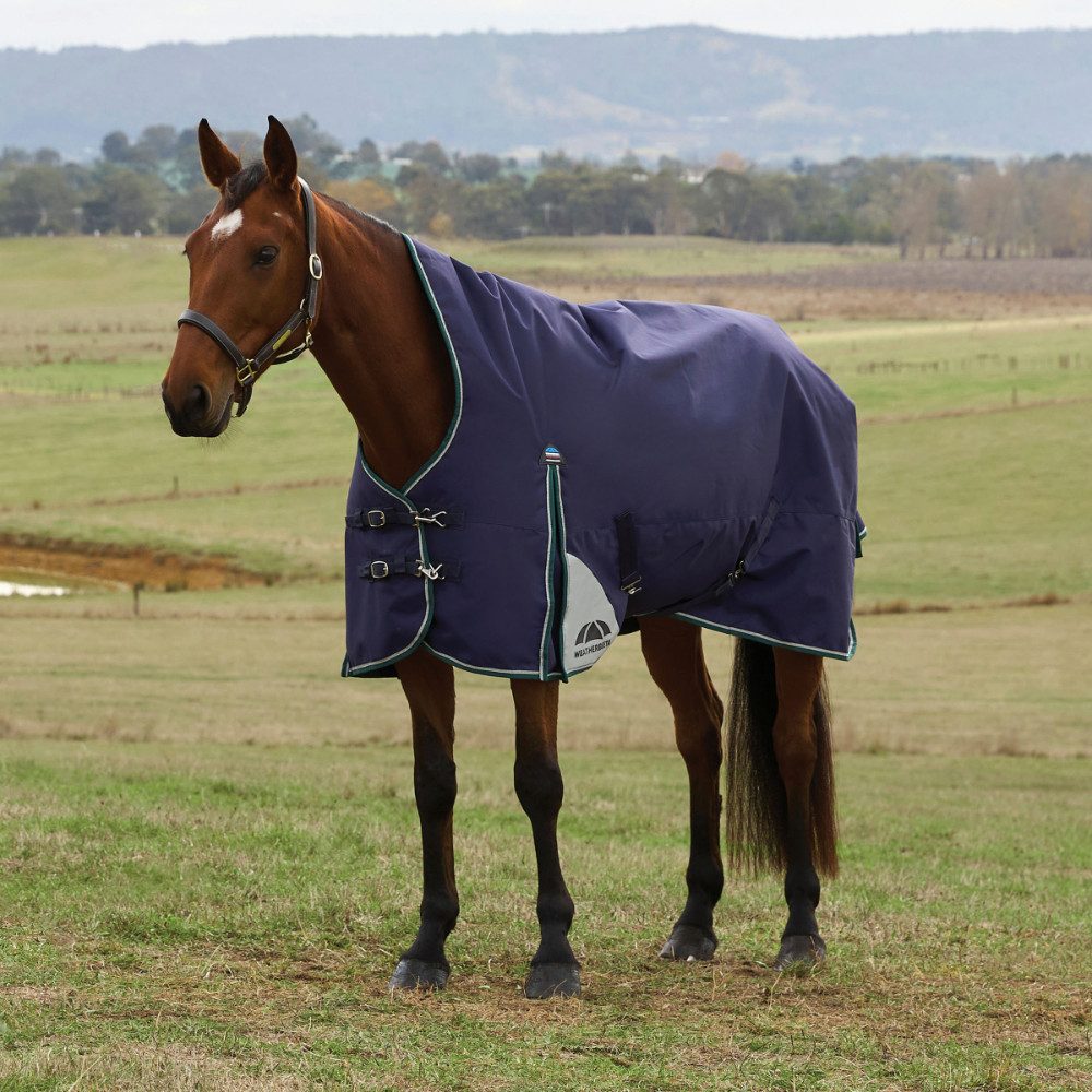 WeatherBeeta Pferde-Regendecke Weatherbeeta Comfitec Plus Dynamic Turnout High Neck 0g