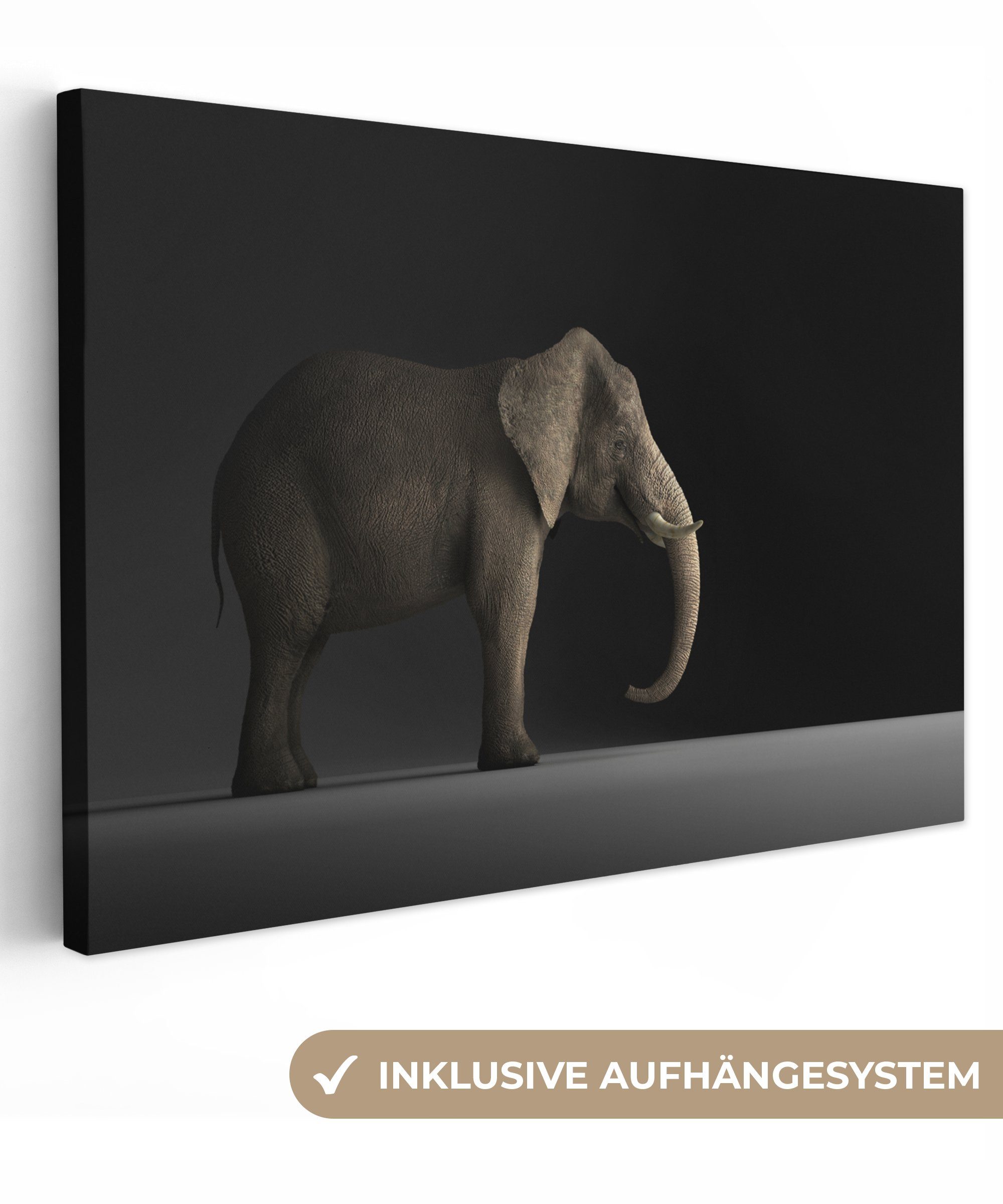 OneMillionCanvasses® Leinwandbild Elefant - Tiere - Licht, (1 St), Wandbild Leinwandbilder, Aufhängefertig, Wanddeko, 30x20 cm
