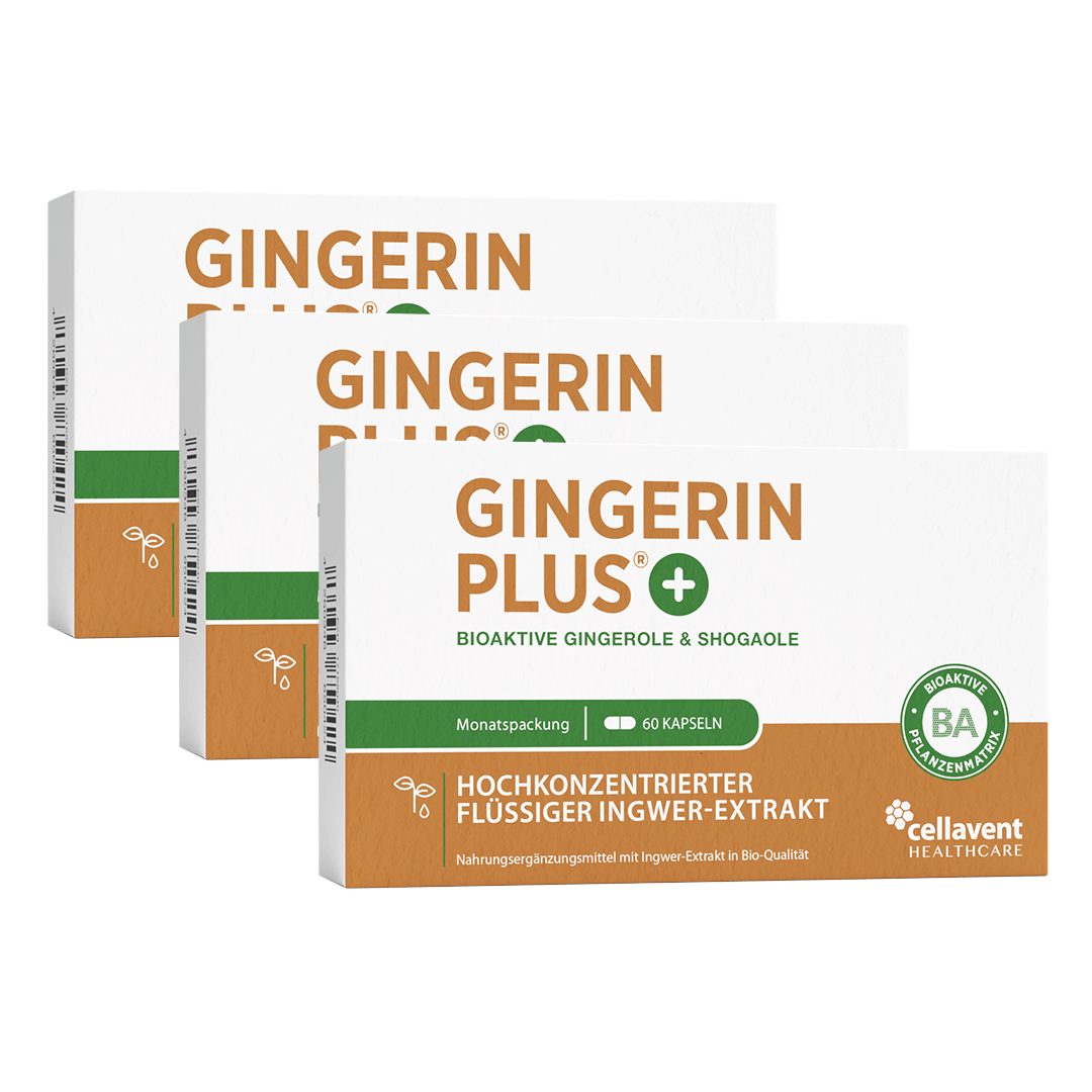 Cellavent Healthcare BIO Ingwer Kapseln - 22.000 mg Ingwerpulver - Gingerin PLUS Kapseln