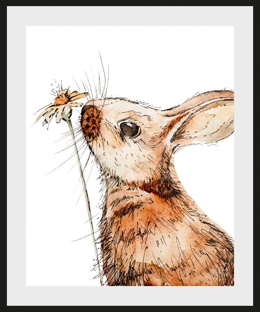 queence Bild Agilo, Blumen, Hase, Hasen, Haustiere, Pflanzen, Pflanzenbilder (1 St), HD Premium Poster-Druck inkl. Holzrahmen