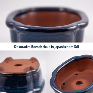 HappySeed Pflanzschale Bonsai Schale aus Keramik in Marineblau - 15 x 5,5 x 11 cm (klein)