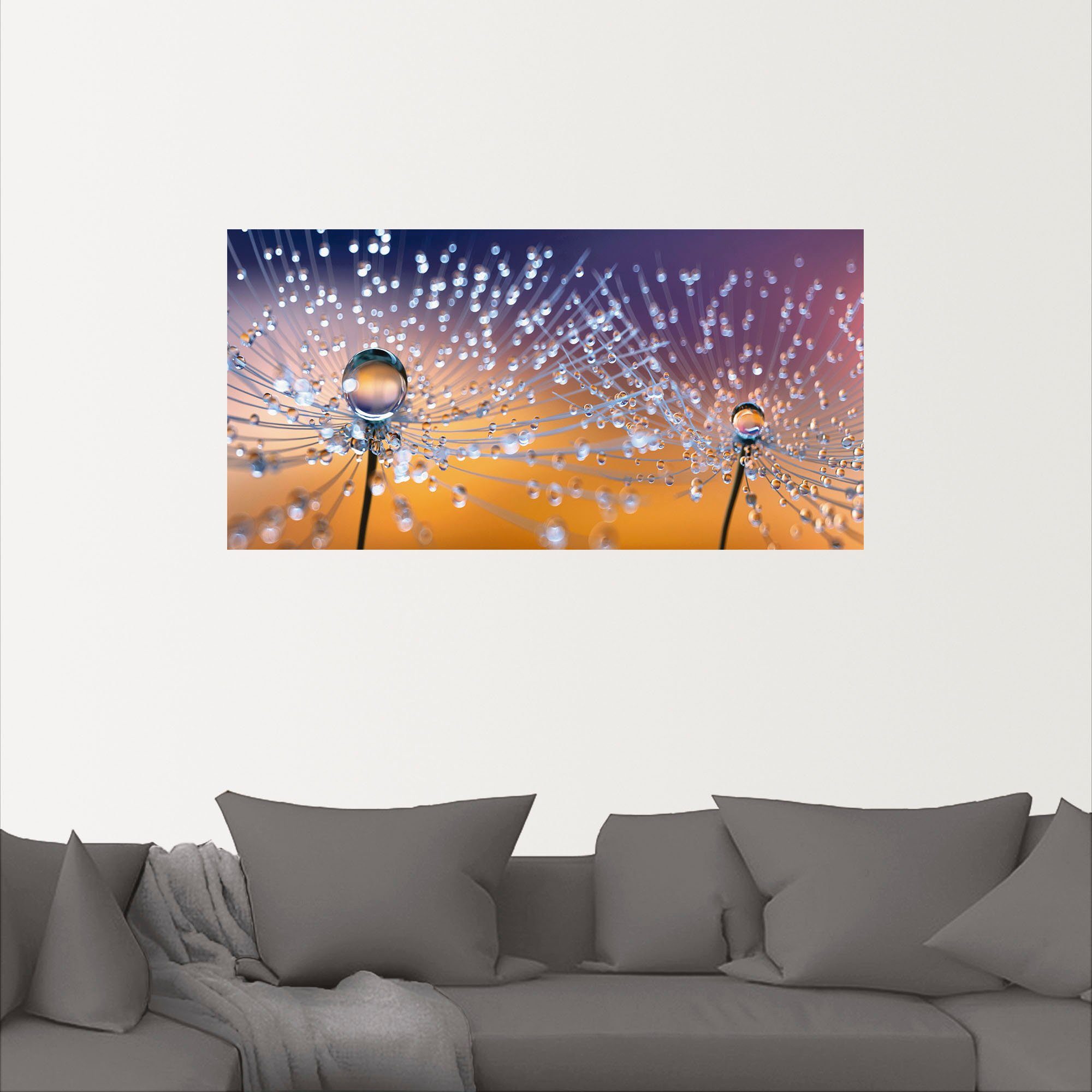 Artland Wandbild »Pusteblumen Tautropfen«, Blumenbilder (1 Stück), in vielen Größen & Produktarten - Alubild / Outdoorbild für den Außenbereich, Leinwandbild, Poster, Wandaufkleber / Wandtattoo auch für Badezimmer geeignet-kaufen