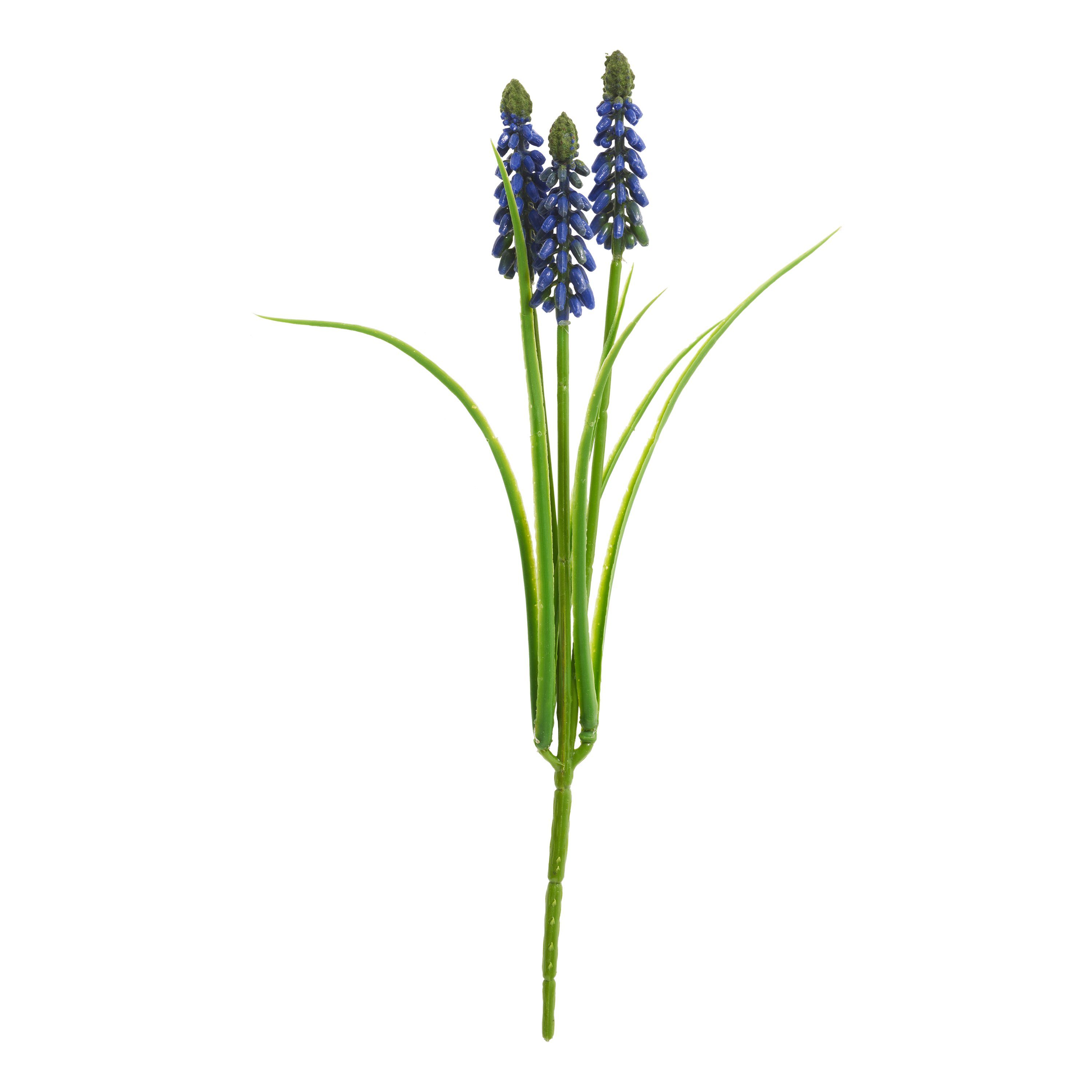 Kunstblume Perlhyazinthe