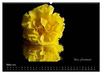 CALVENDO Wandkalender Blütenschönheiten (Premium, hochwertiger DIN A2 Wandkalender 2023, Kunstdruck in Hochglanz)