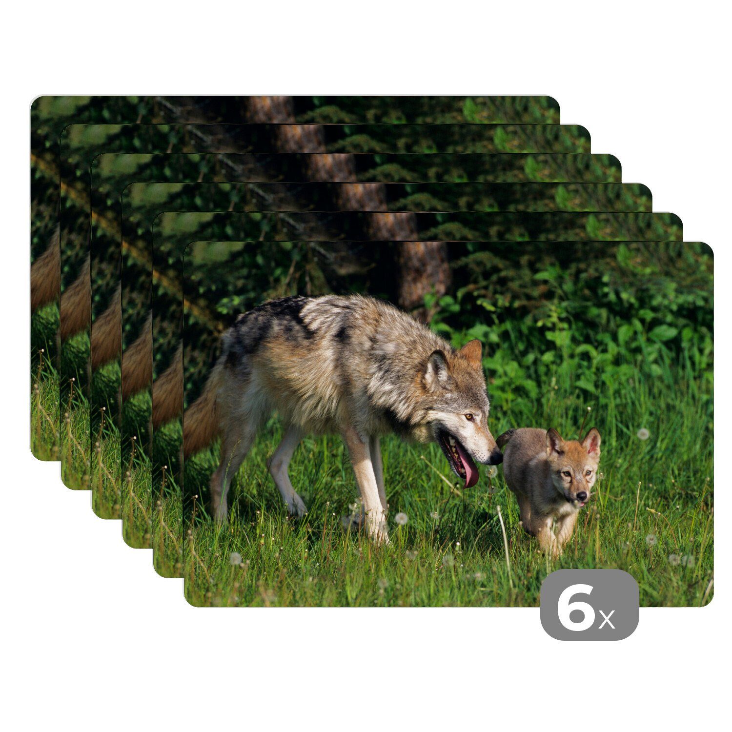 Gras, Tischmatten, Platzdecken, - Schmutzabweisend Baby Wolf (6-St), Platzmatte, MuchoWow, Platzset, Platzset, -
