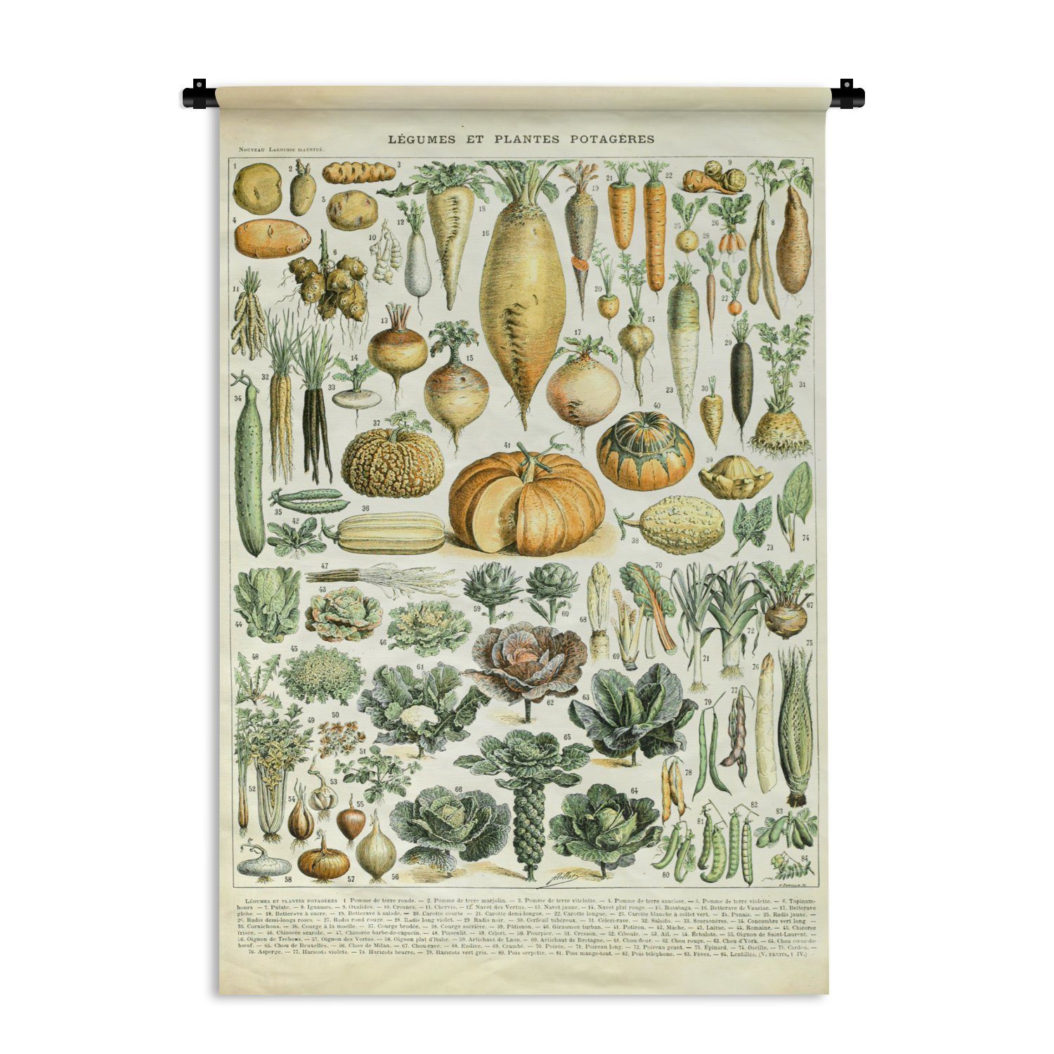 MuchoWow Wanddekoobjekt Vintage - Gemüse - Karotte - Kunst - Adolphe Millot - Orange, Wanddeko für Wohnzimmer, Schlafzimmer, Kleid, Wandbehang, Kinderzimmer