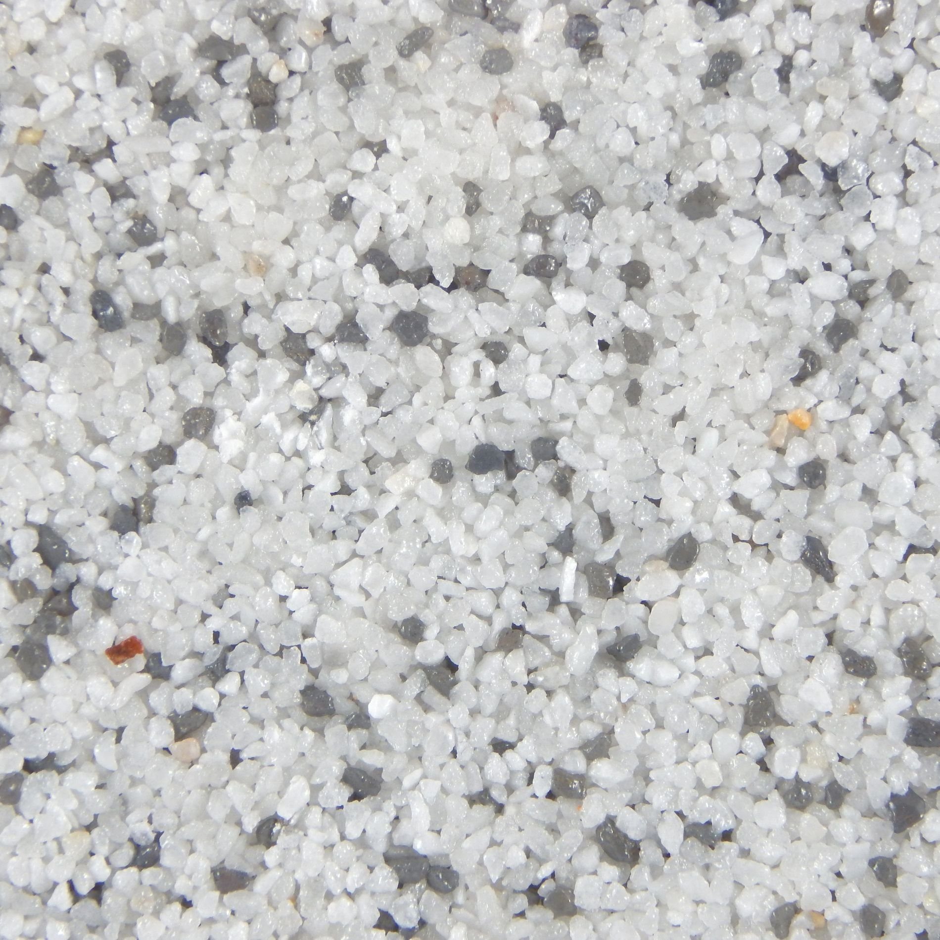 Terralith® Kunstharzputz Buntsteinputz Mosaikputz 2mm -15 kg- T100 (Eimer, Verarbeitungsfertig) Dekorationsputz aus Marmor-Granulat bzw. eingefärbter Körnung mit einem Reinacrylat als Bindemittel