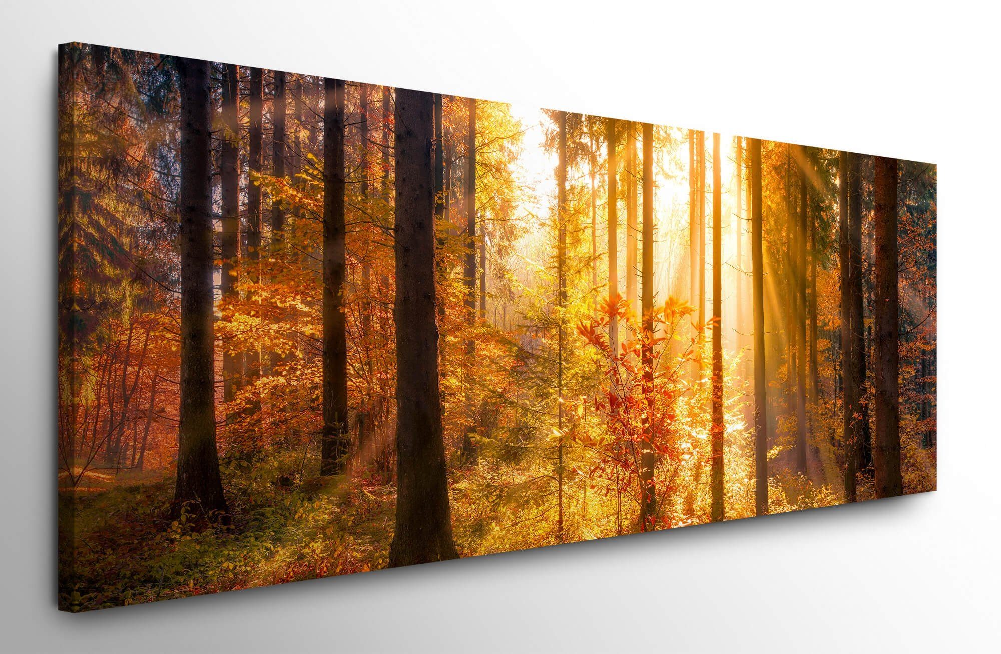 möbel-direkt.de Leinwandbild Bilder XXL Herbstwald mit günstig online kaufen