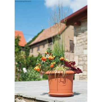 matches21 HOME & HOBBY Blumentopf Pflanztopf Blumentopf vielseitig Kunststoff braun Ø 30 cm (1 St)