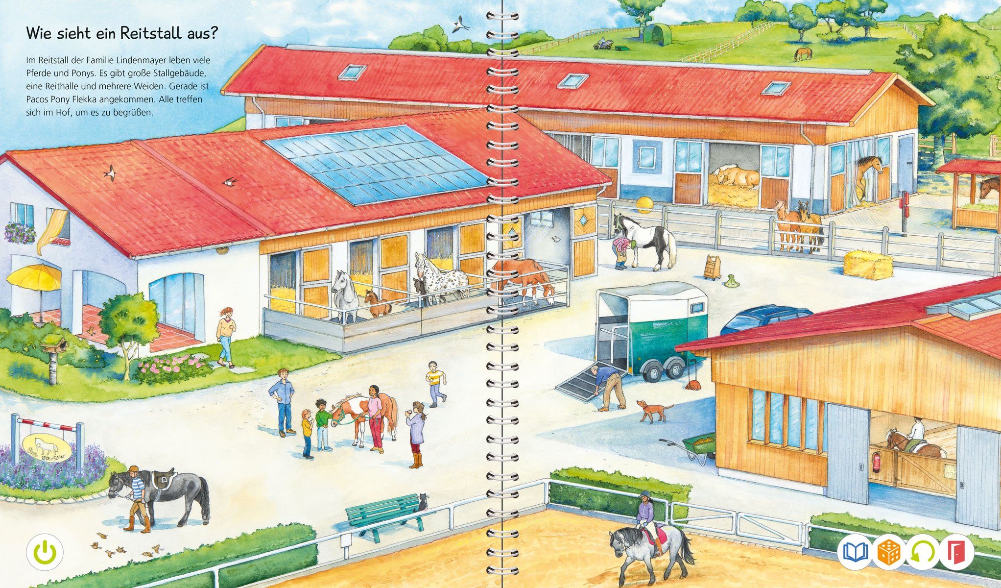 Ravensburger Kinderbuch tiptoi® Wieso? Weshalb? Warum? Wir entdecken Pferde und Ponys, Made in Europe