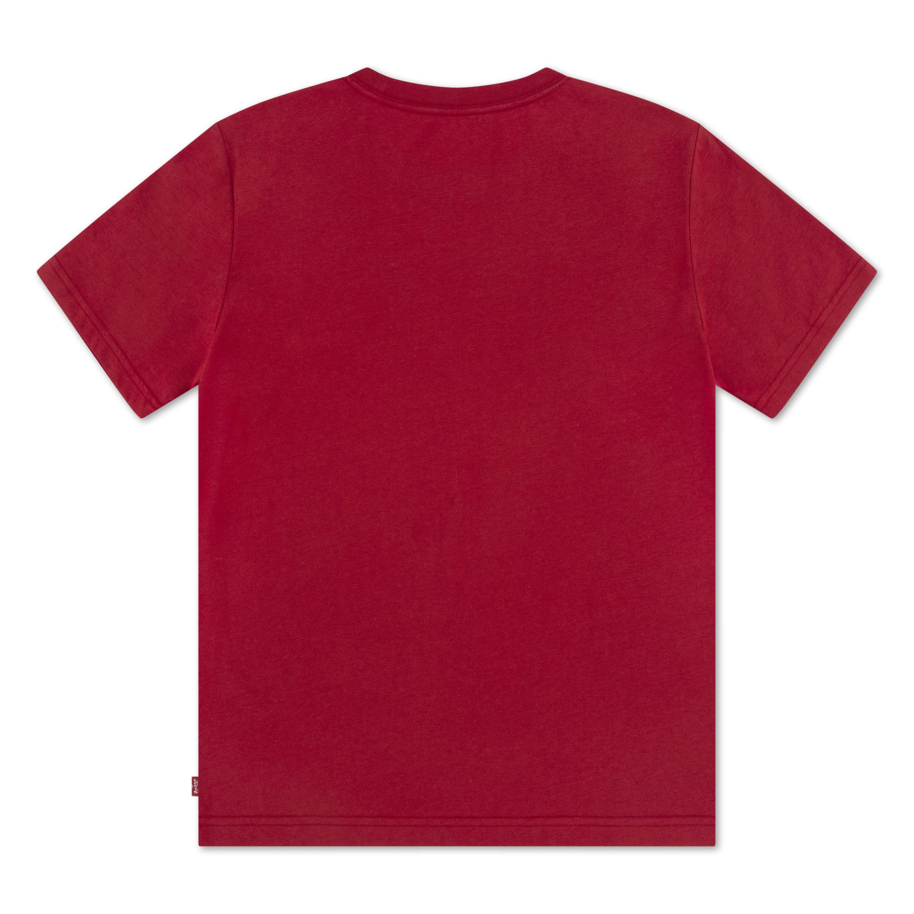 Levi's® Kids T-Shirt LVB BARBECUE BATWING TEE mit Print, for Boys
