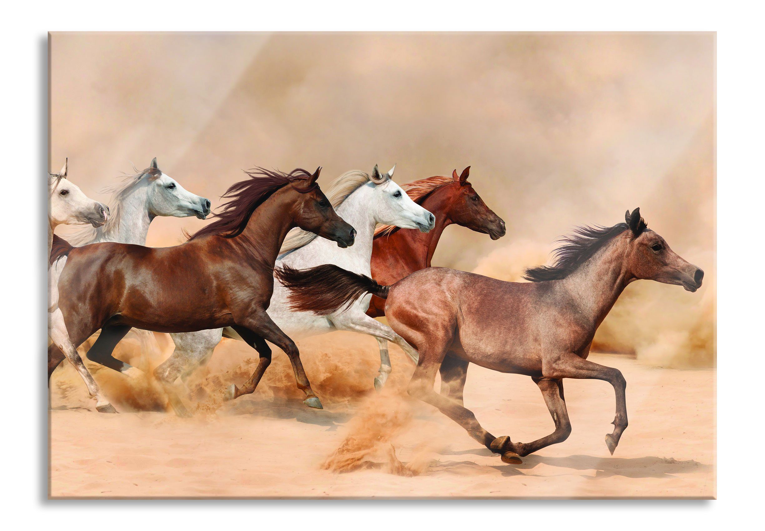 Pixxprint Glasbild in Pferde St), und Echtglas, Glasbild aus Western Pferde Aufhängungen (1 Wüste, inkl. Wüste Abstandshalter in Western