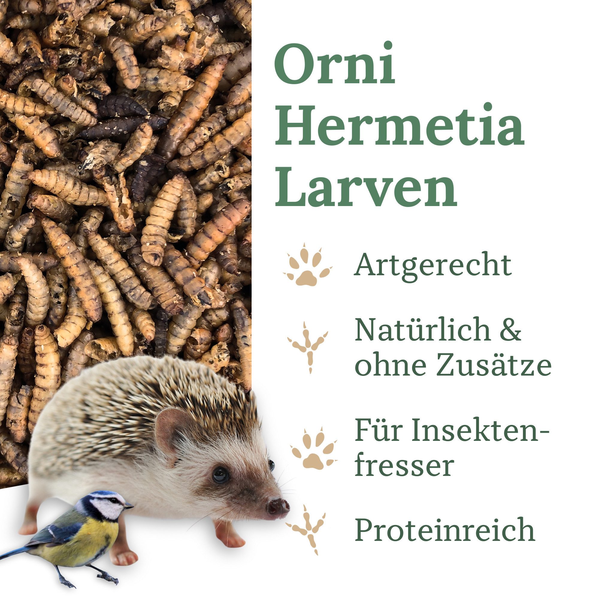 Orni Soldatenfliegenlarven getrocknet - Insektenfutter ohne Zusatzstoffe, Ergänzungsfutter für: Nutz-/ Wildtier