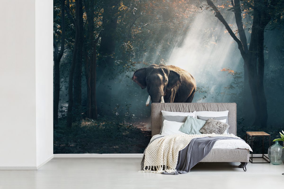 Kinderzimmer, Schlafzimmer, - (6 St), Sonne, Elefant - Wohnzimmer, für Matt, Tapete Wallpaper bedruckt, MuchoWow Wald Fototapete Vinyl
