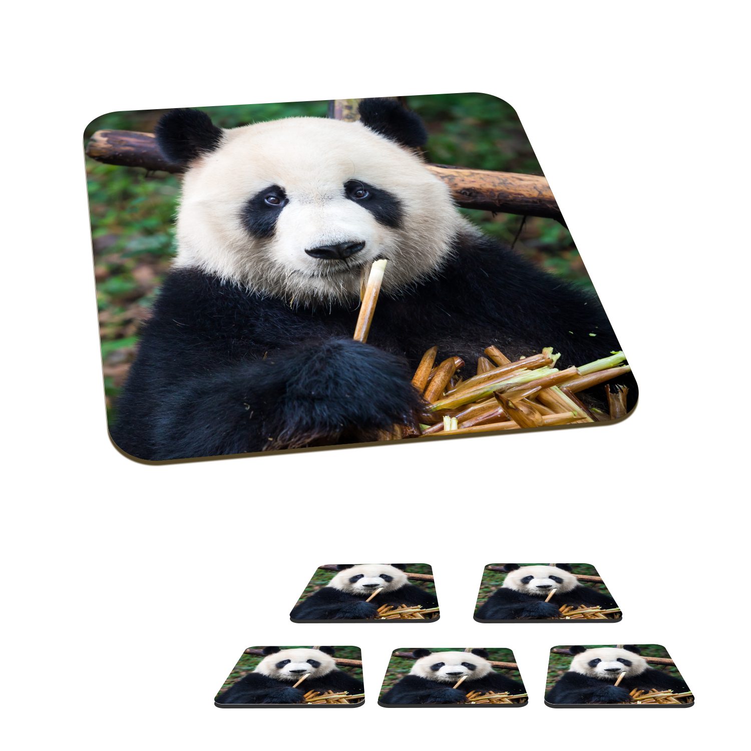 MuchoWow Glasuntersetzer Panda - Bambus - Natur, Zubehör für Gläser, 6-tlg., Glasuntersetzer, Tischuntersetzer, Korkuntersetzer, Untersetzer, Tasse