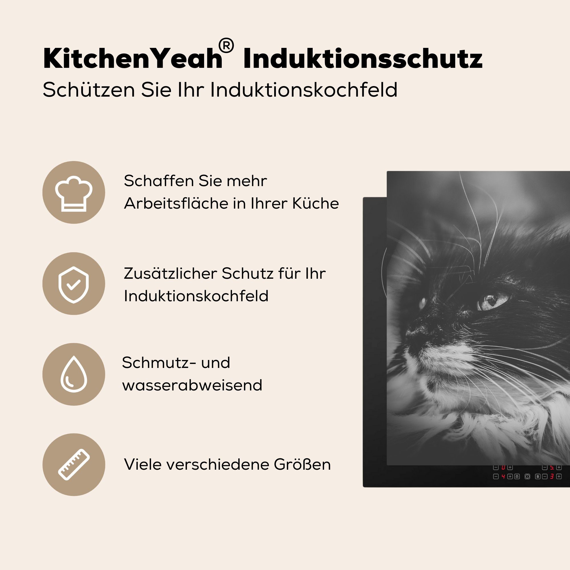 Herdblende-/Abdeckplatte Vinyl, cm, für MuchoWow Katze blickende Arbeitsplatte 78x78 (1 und Schwarz tlg), seitwärts Ceranfeldabdeckung, in Weiß, Tierprofil küche