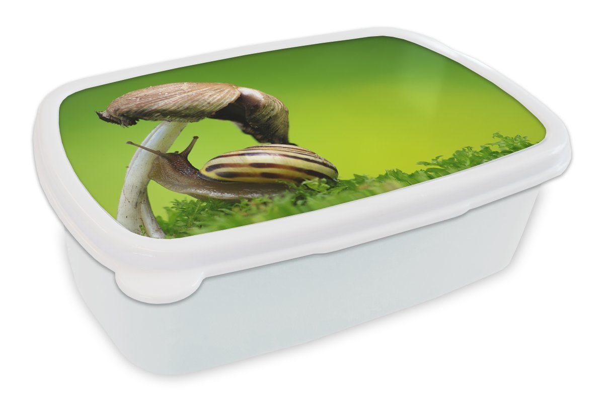 MuchoWow Lunchbox Schnecke klettert auf Pilz, Kunststoff, (2-tlg), Brotbox für Kinder und Erwachsene, Brotdose, für Jungs und Mädchen weiß