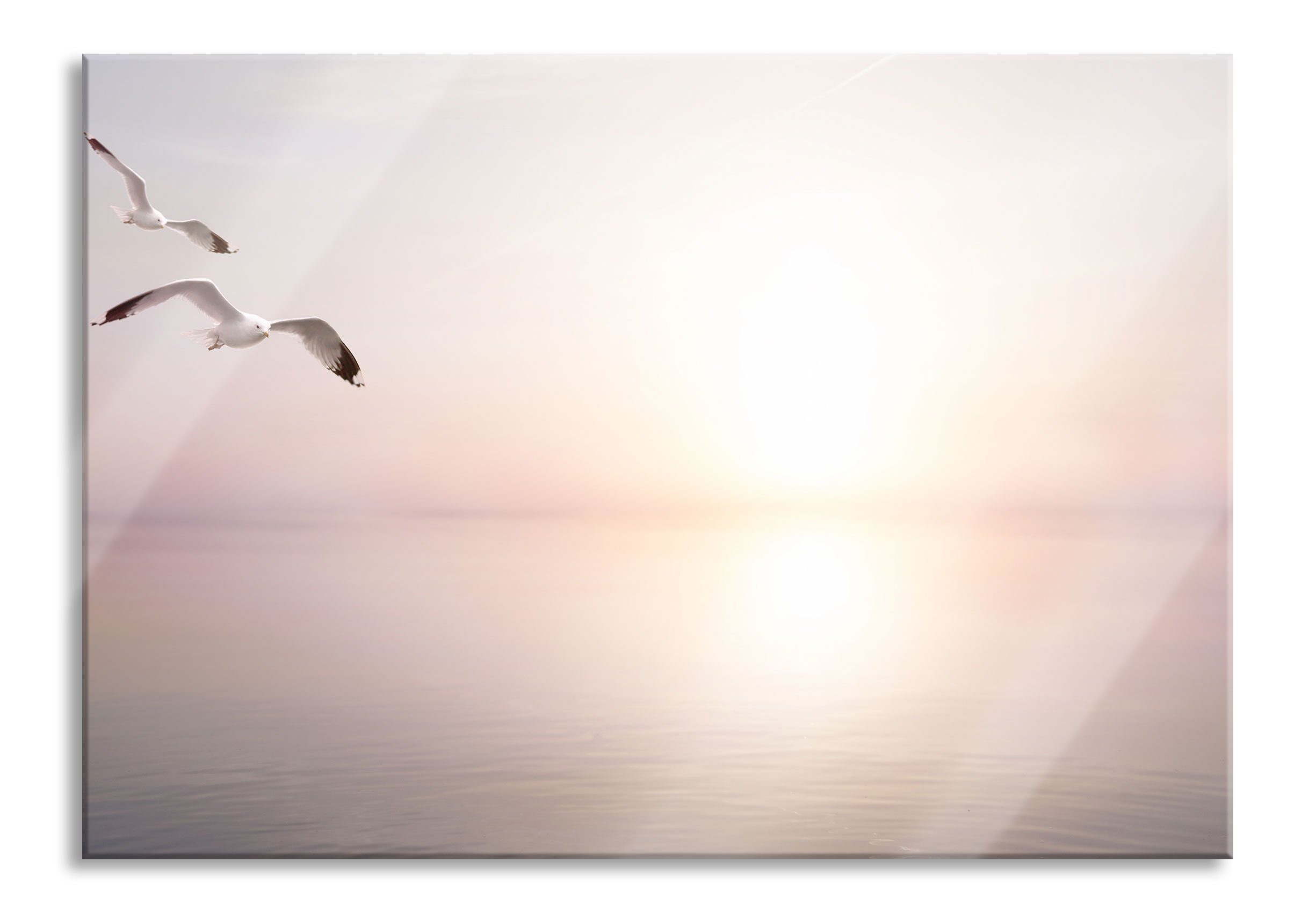 Pixxprint Glasbild Möwen am Meer bei Sonnenaufgang, Möwen am Meer bei Sonnenaufgang (1 St), Glasbild aus Echtglas, inkl. Aufhängungen und Abstandshalter