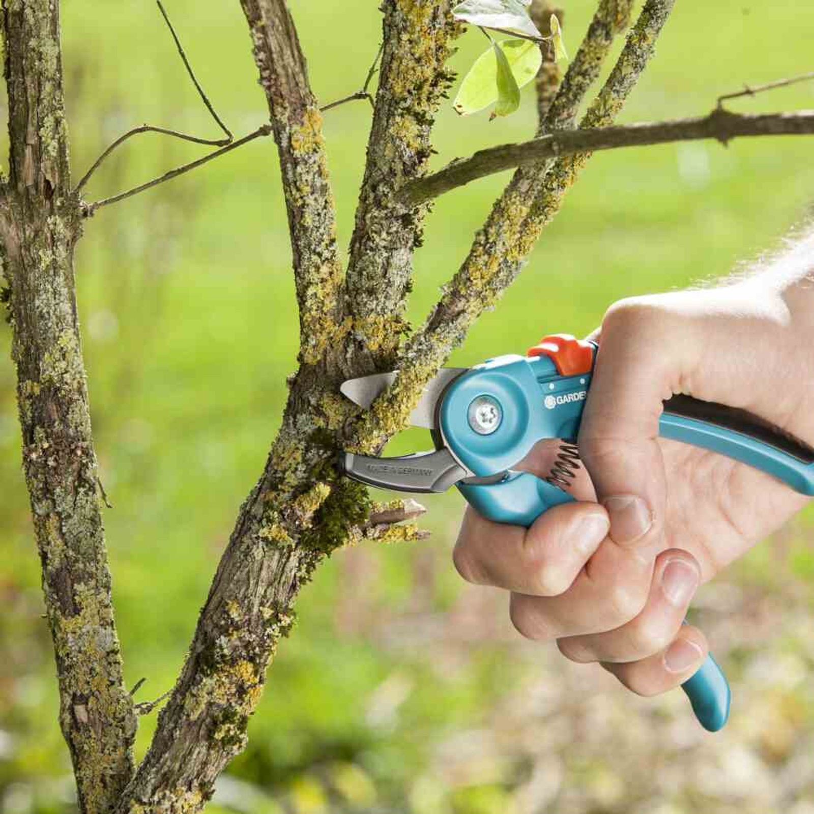 GARDENA Grasschere Gartenschere A/S Classic Amboss-Gartenschere
