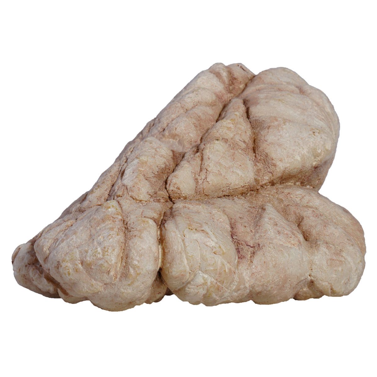 HOBBY Aquariendeko Sandstone Rock 5, Dekoration für Aquarium und Terrarium