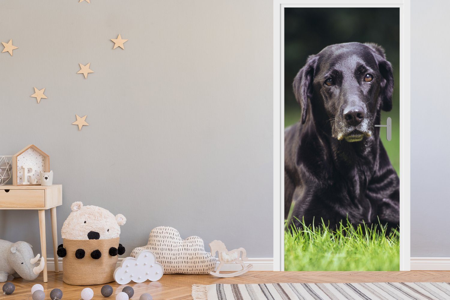 MuchoWow Türtapete Ein bedruckt, Türaufkleber, Fototapete schwarzer cm (1 Tür, für Gras, Labrador im Matt, 75x205 St)