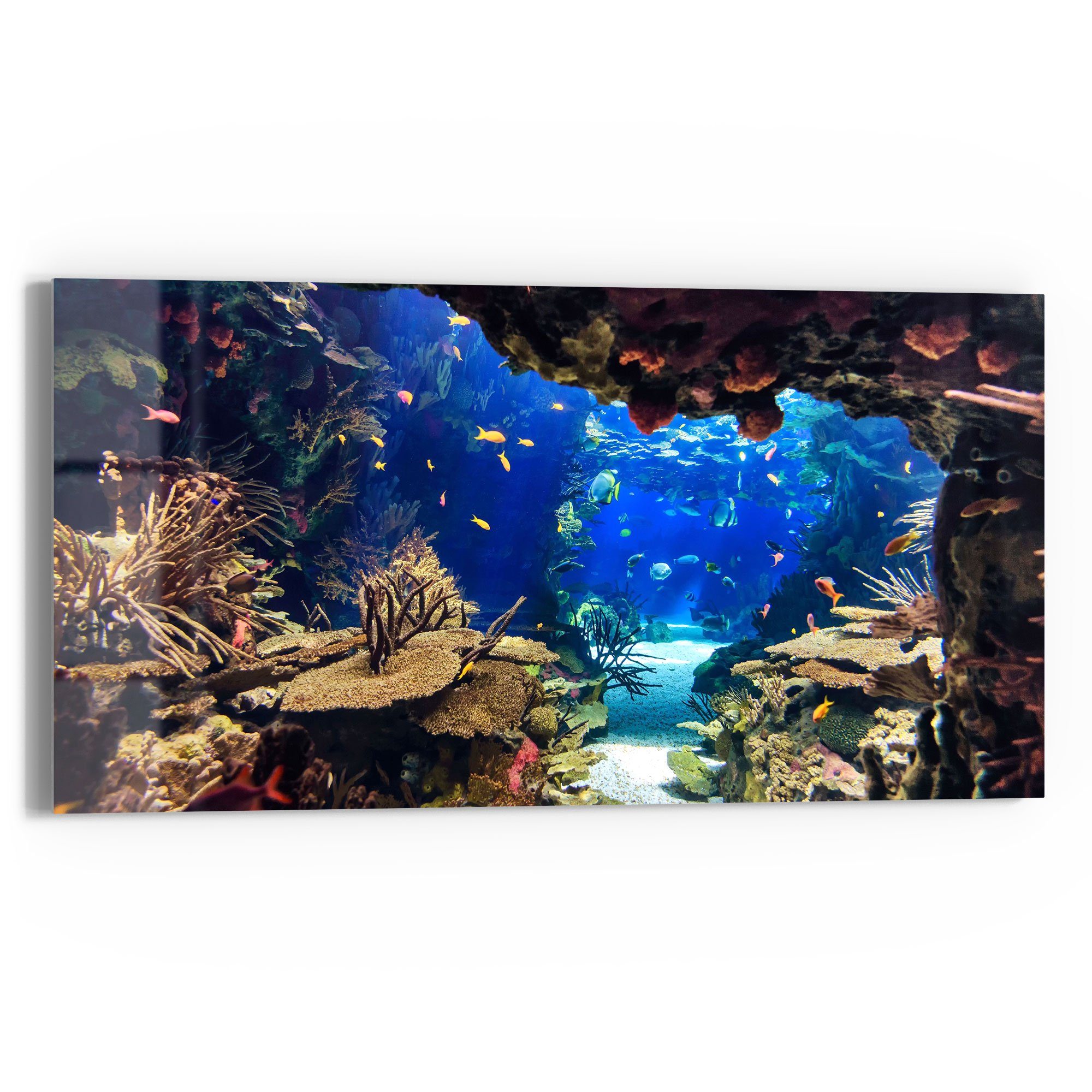 DEQORI Glasbild 'Exotisches Aquarium', 'Exotisches Aquarium', günstig online kaufen