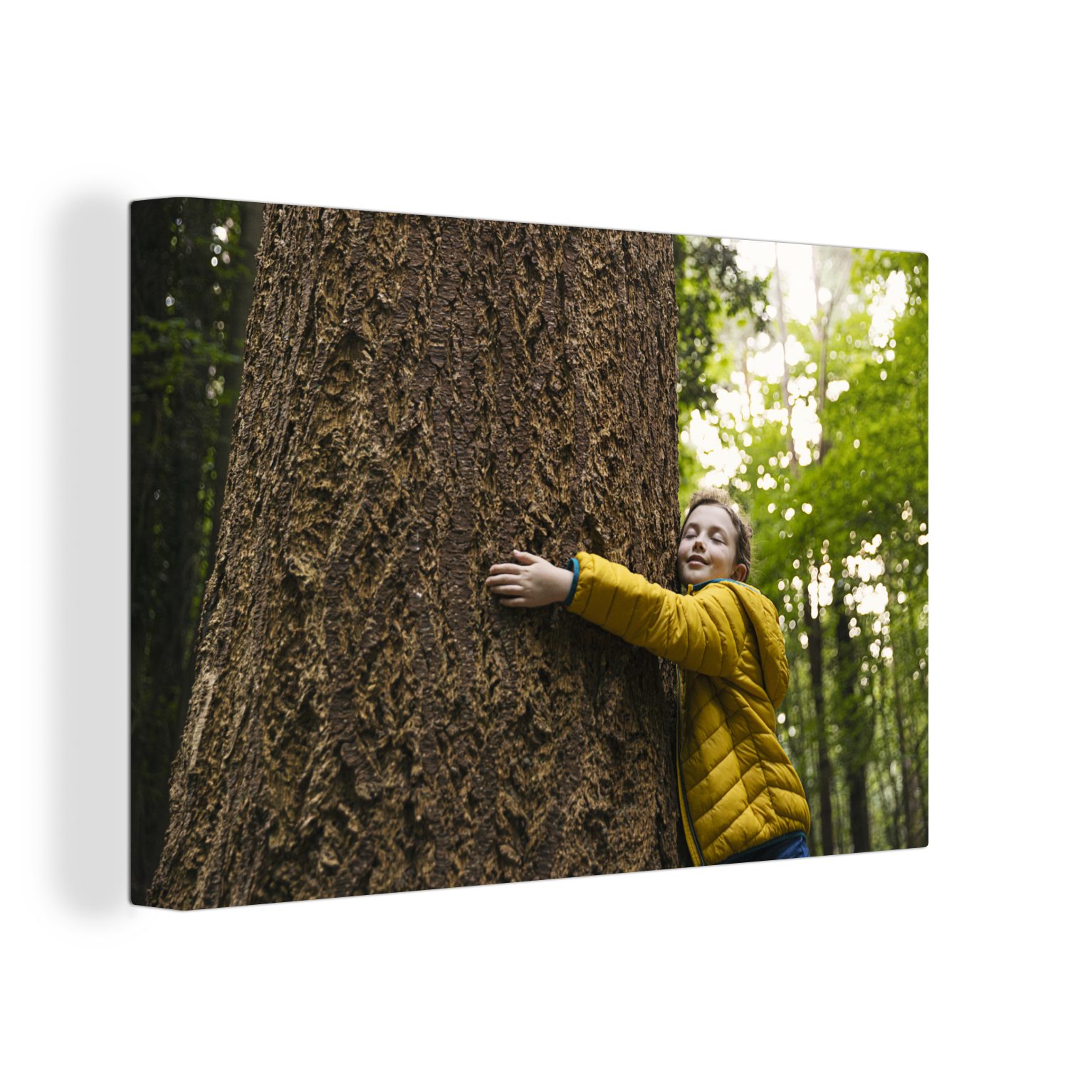 (1 Kind Wandbild cm 30x20 Aufhängefertig, Leinwandbilder, Leinwandbild Wald, OneMillionCanvasses® - St), - Baum Wanddeko,