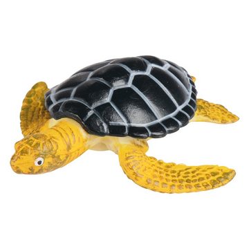 EDUPLAY Lernspielzeug Lebenszyklen Meeresschildkröte, 6,2 x 6,6 x 2 cm